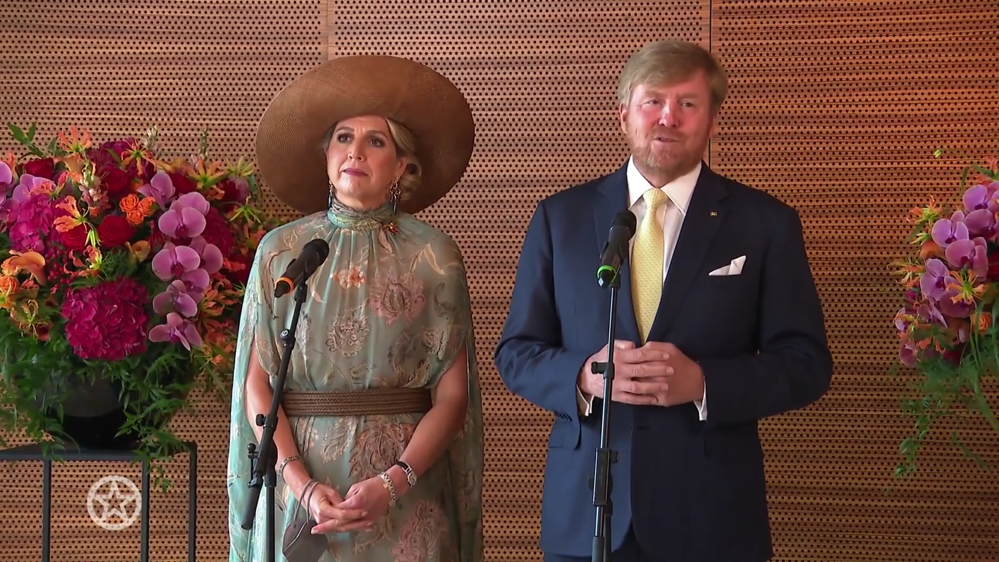 Domper voor koning Willem-Alexander