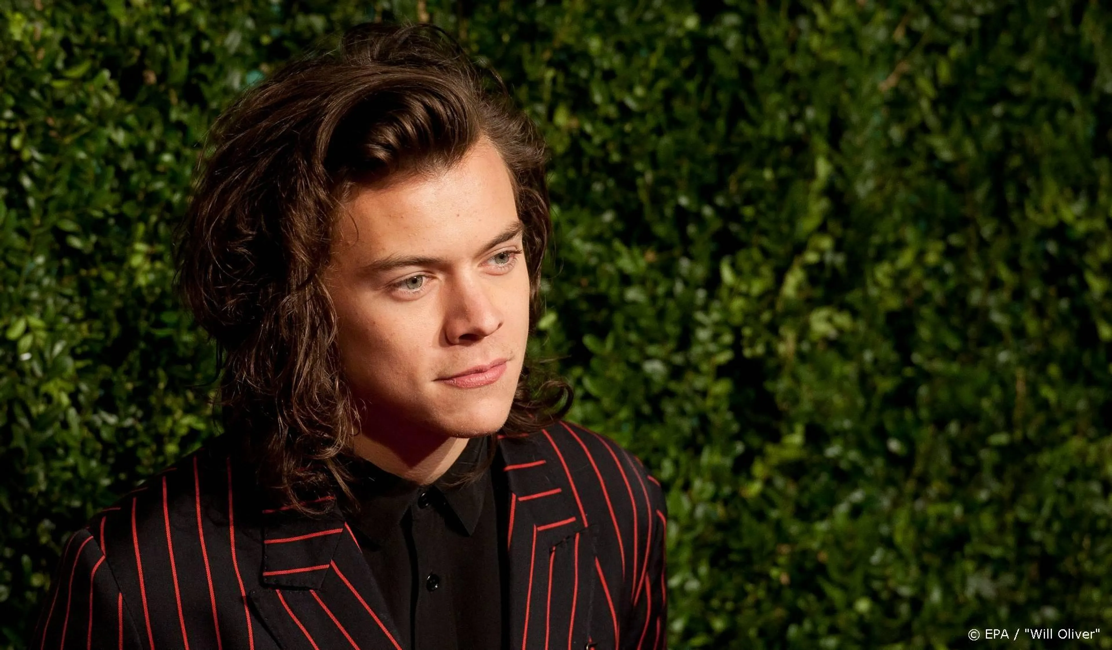 Concert Harry Styles valt in het water