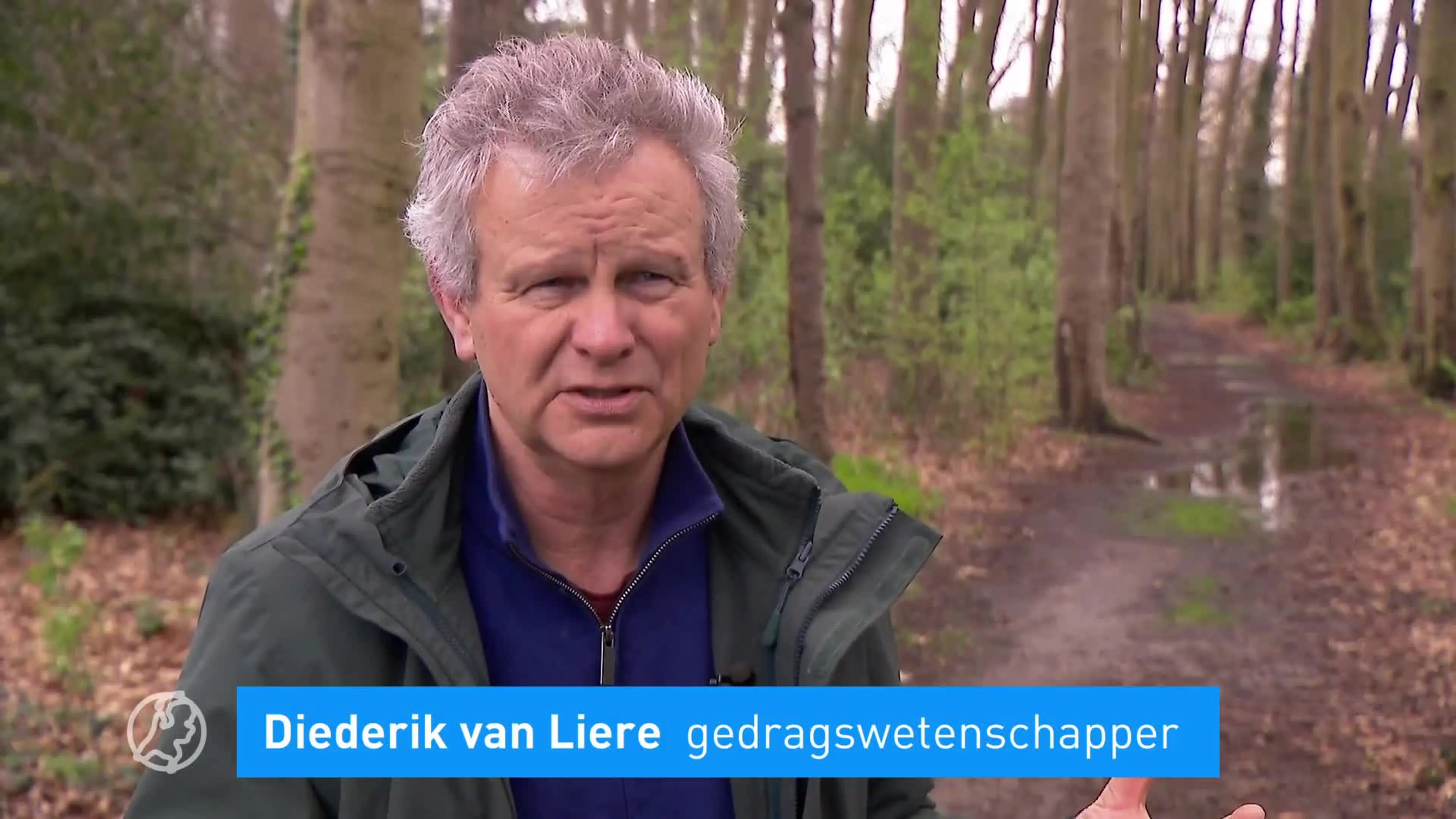 Is er eindelijk een oplossing voor het wolvenprobleem in Nederland?