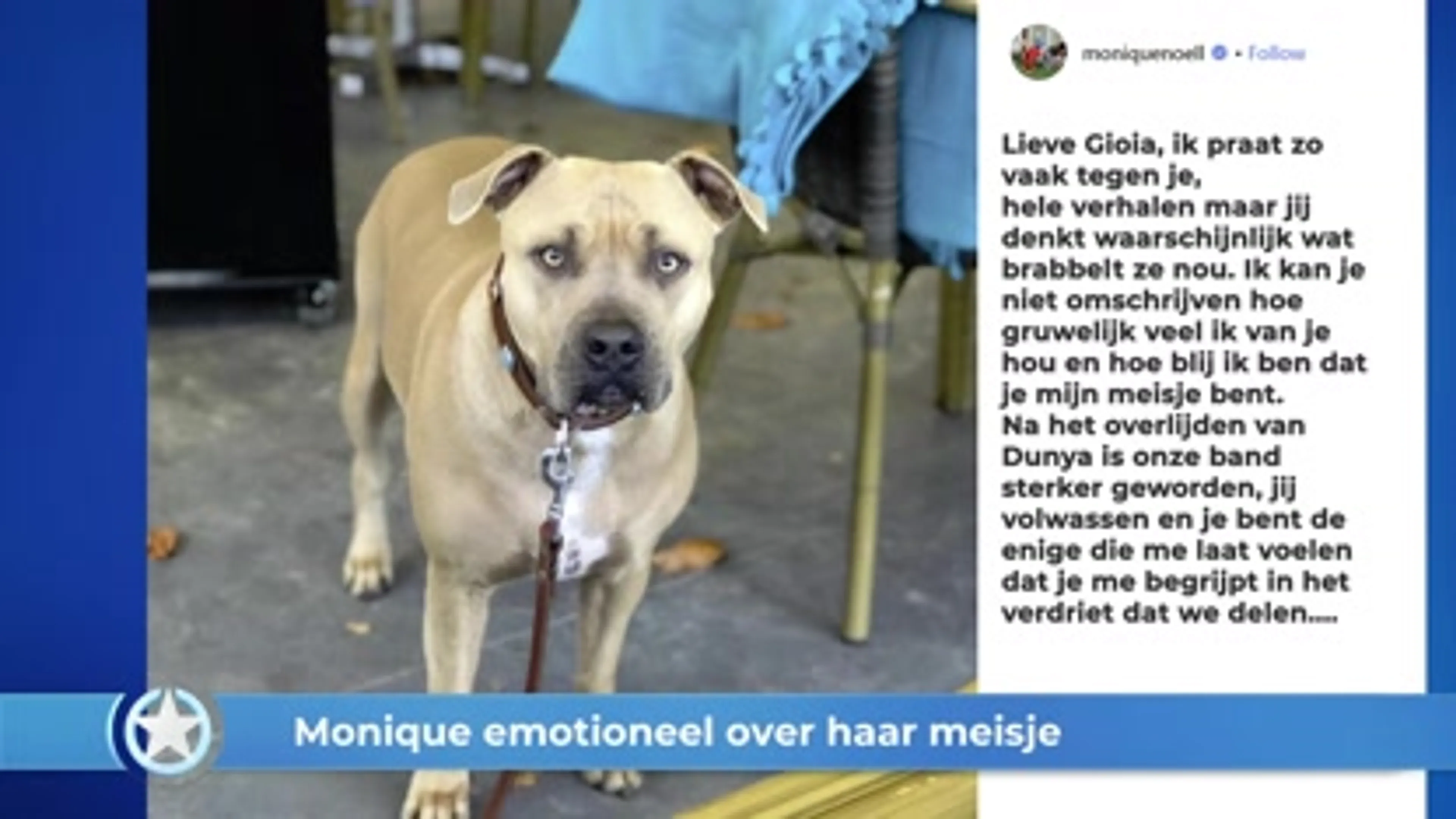 Show Update: Monique emotioneel over haar meisje