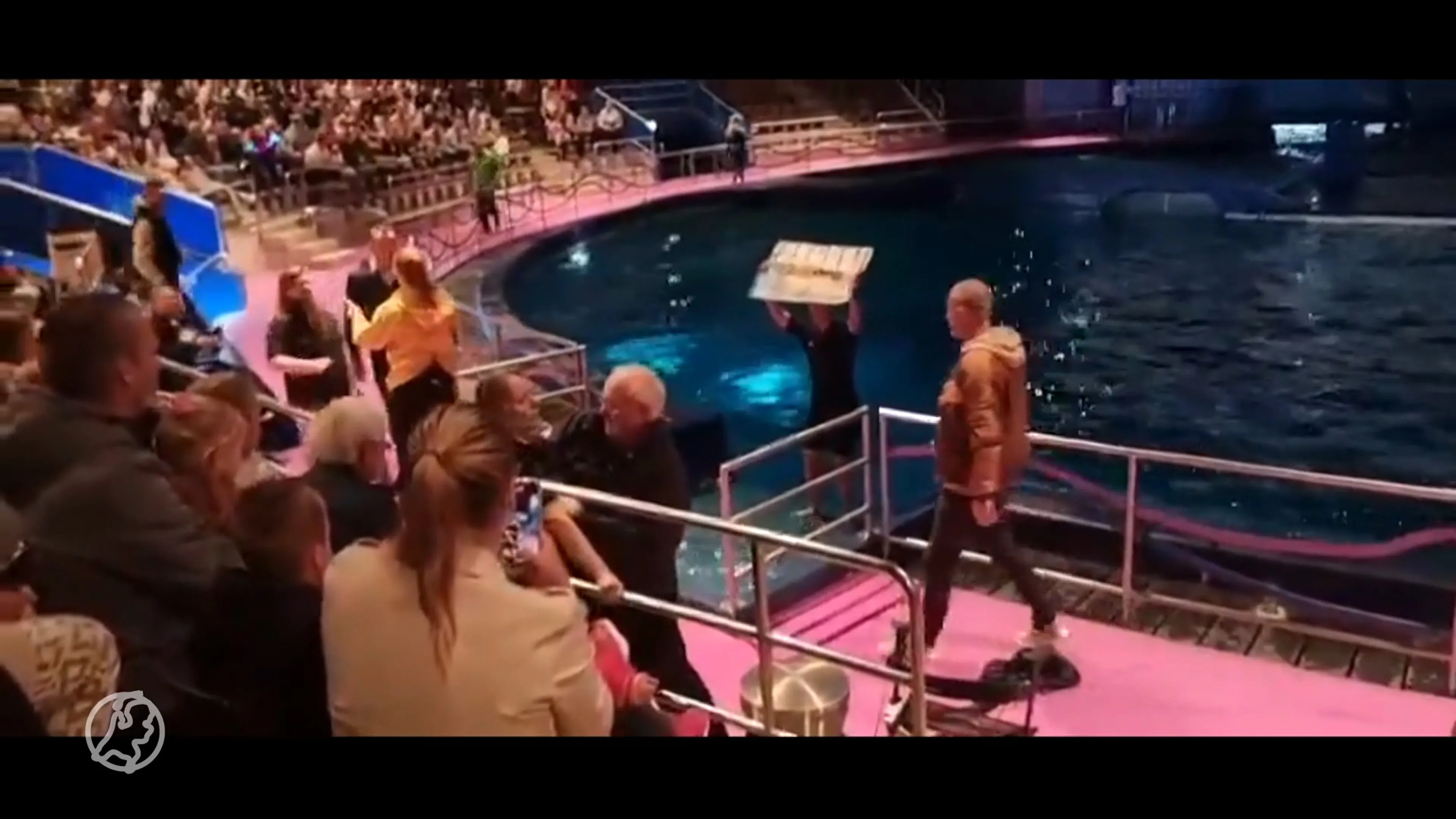 Dierenactivisten in water Dolfinarium tijdens dolfijnenshow (Hart van Nederland - Late Editie)