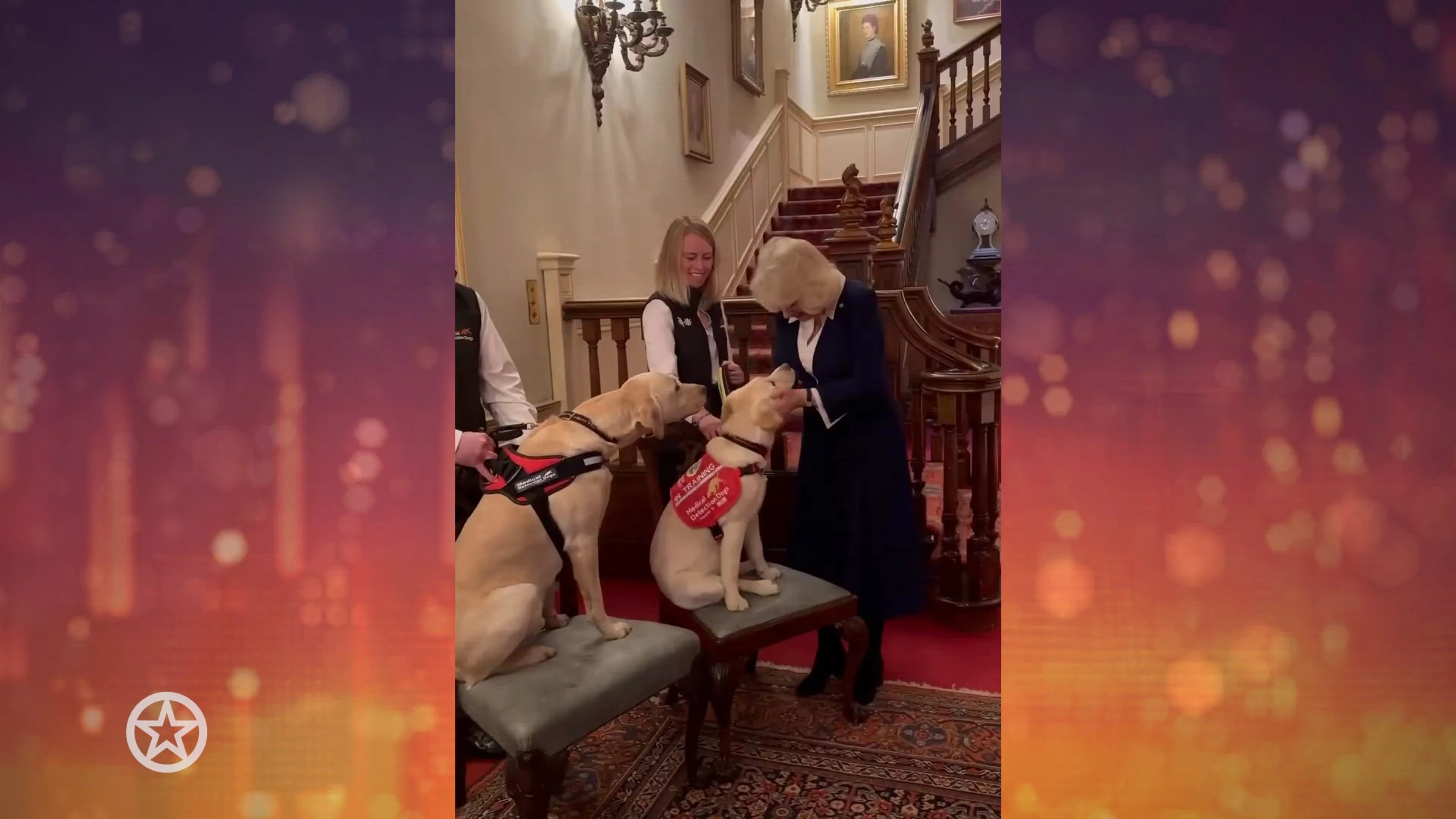 Koningin Camilla heeft een grote liefde voor honden
