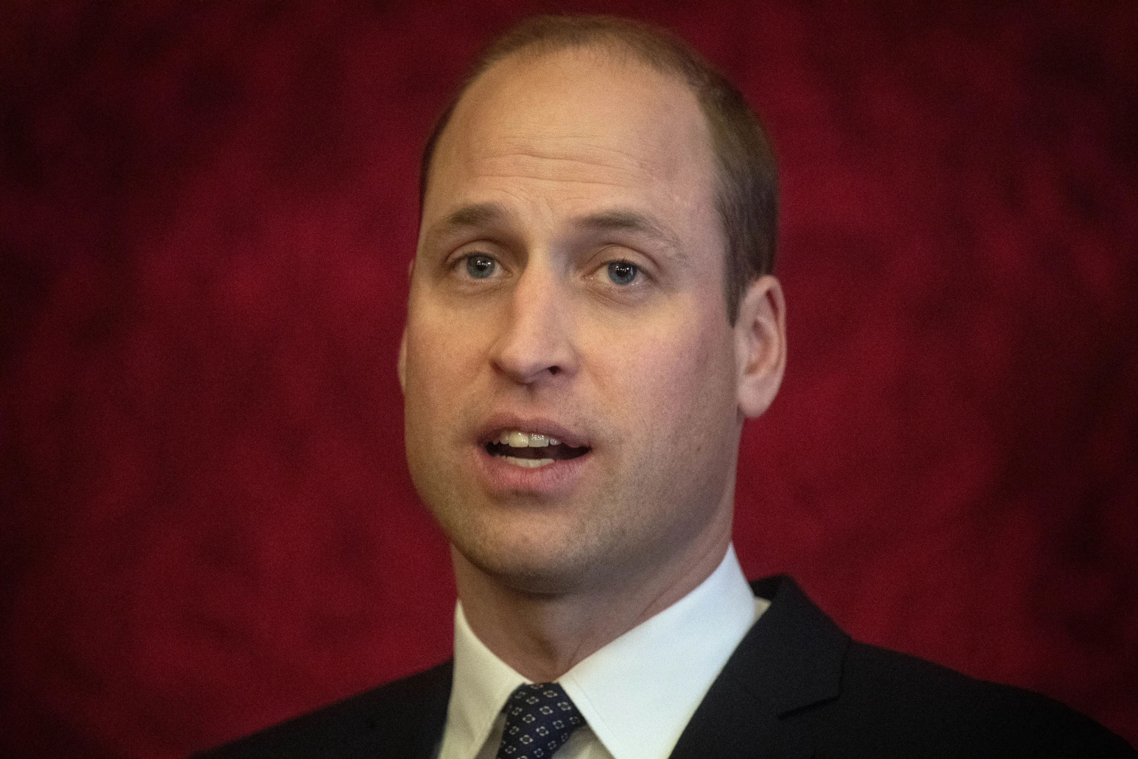 William noemt onderzoek naar Diana-interview stap in goede richting