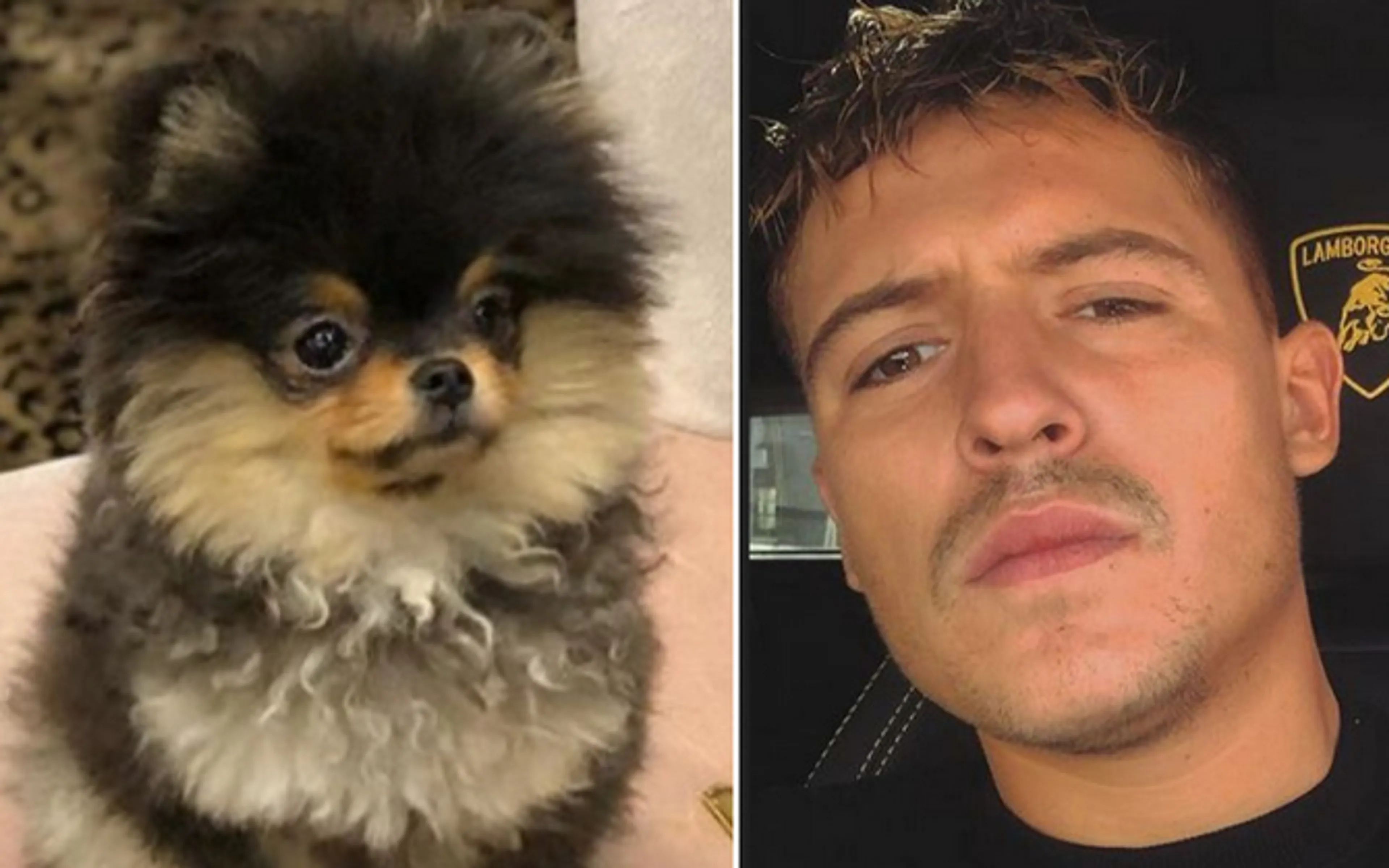 Lil' Kleine geeft eindelijk uitsluitsel over 'dode' hond