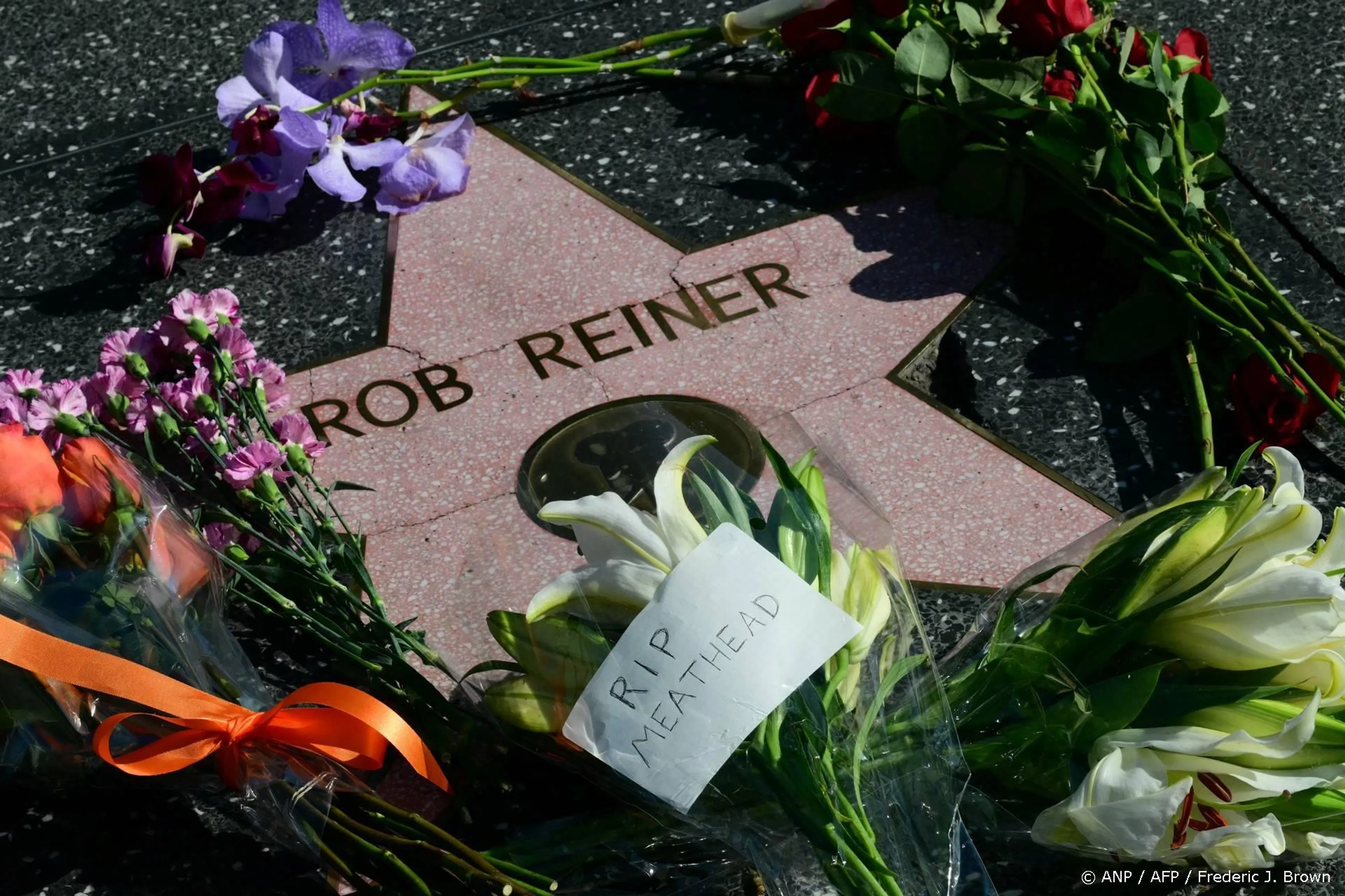 Zoon Rob Reiner aangeklaagd voor moord op ouders