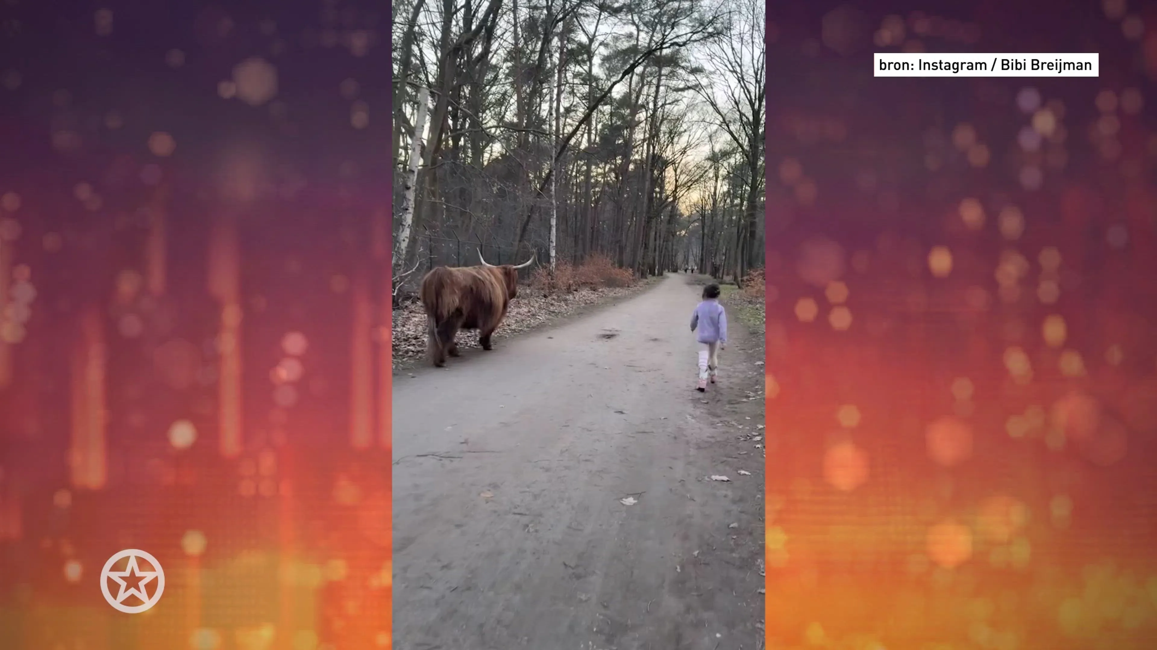 Bibi Breijman met kinderen in het bos