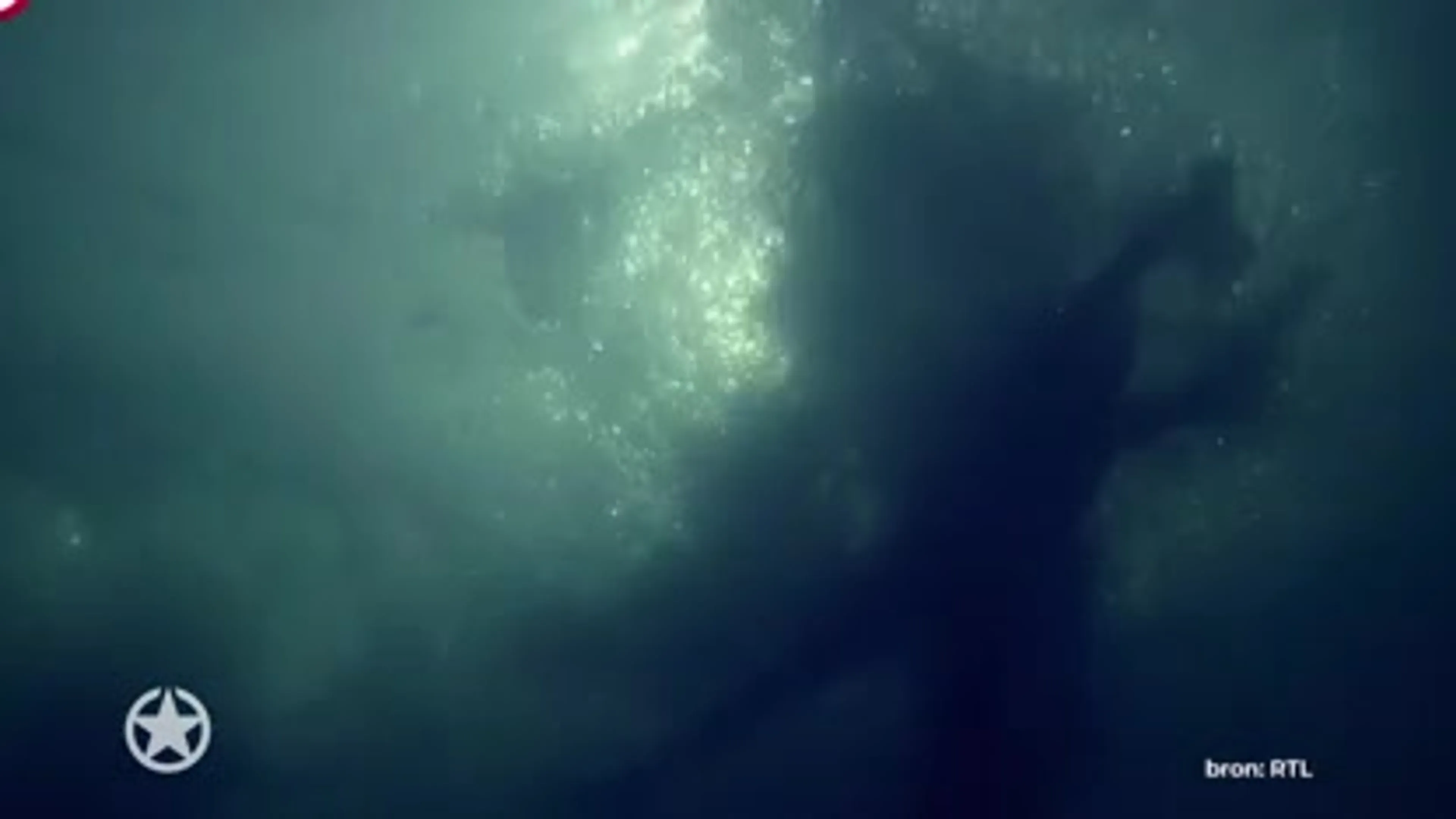 Nog meer BN'ers van het nieuwe seizoen Expeditie Robinson bekend!