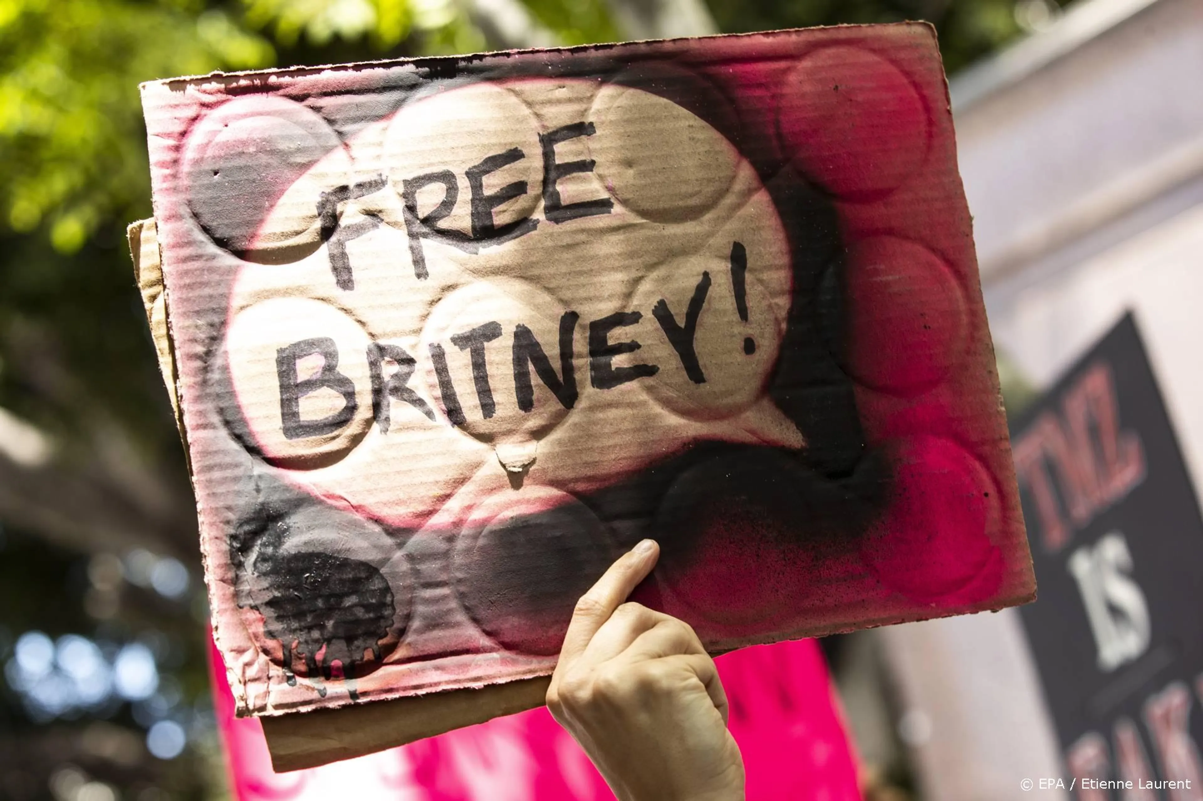 Nieuwe hoorzitting Britney Spears op 14 juli