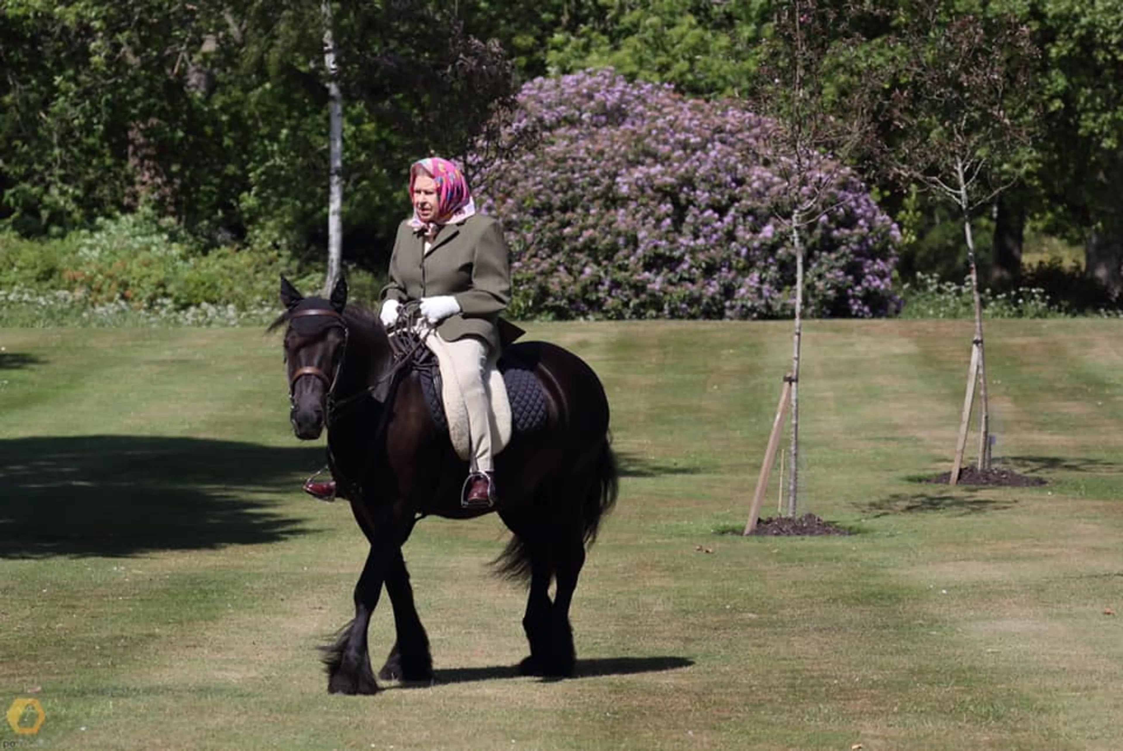 ZIEN: koningin Elizabeth (94) rijdt nog altijd paard
