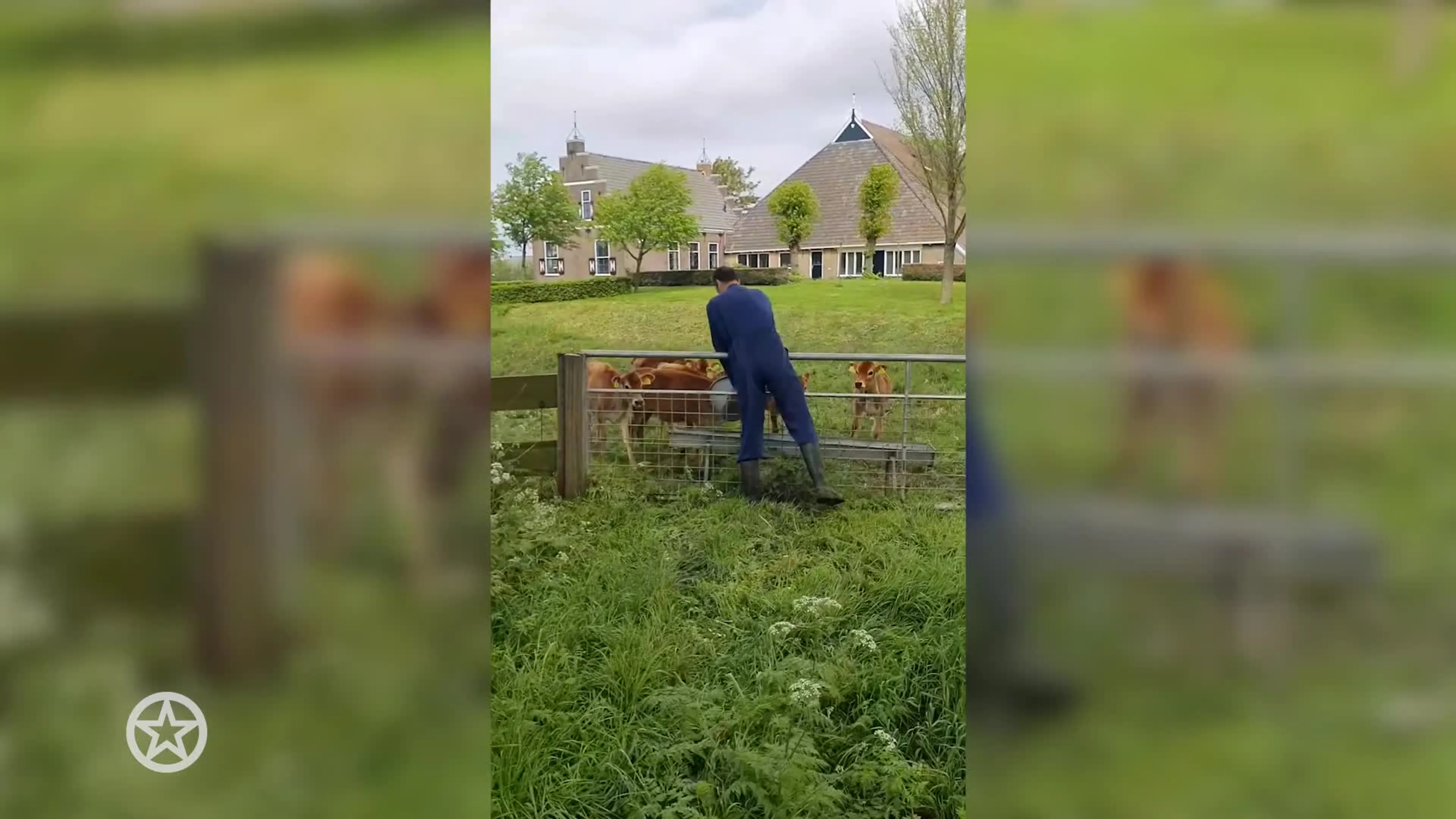 Boer Jouke aan het werk op de boerderij