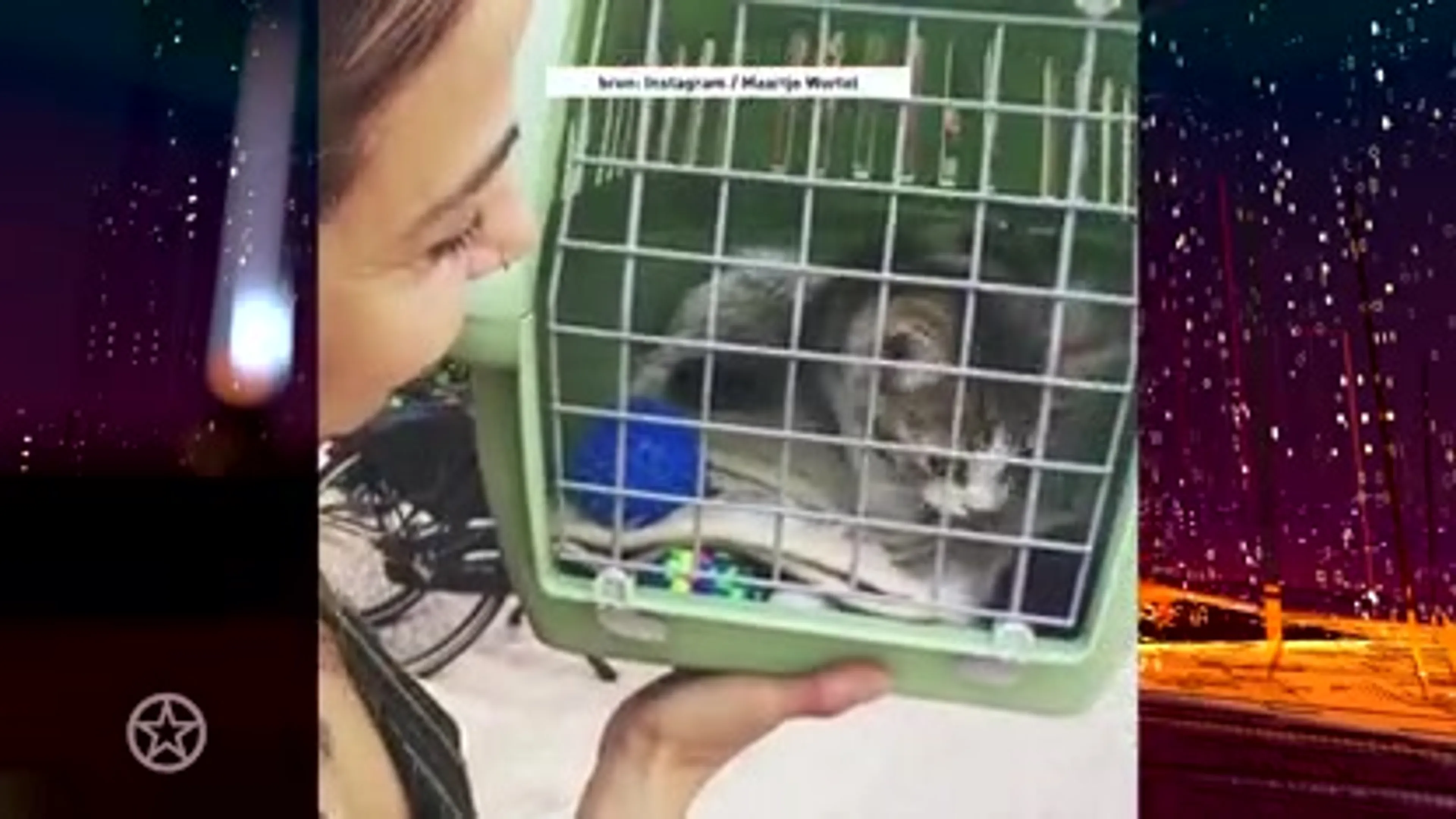 Gezinsuitbreiding voor Georgina Verbaan en vriendin