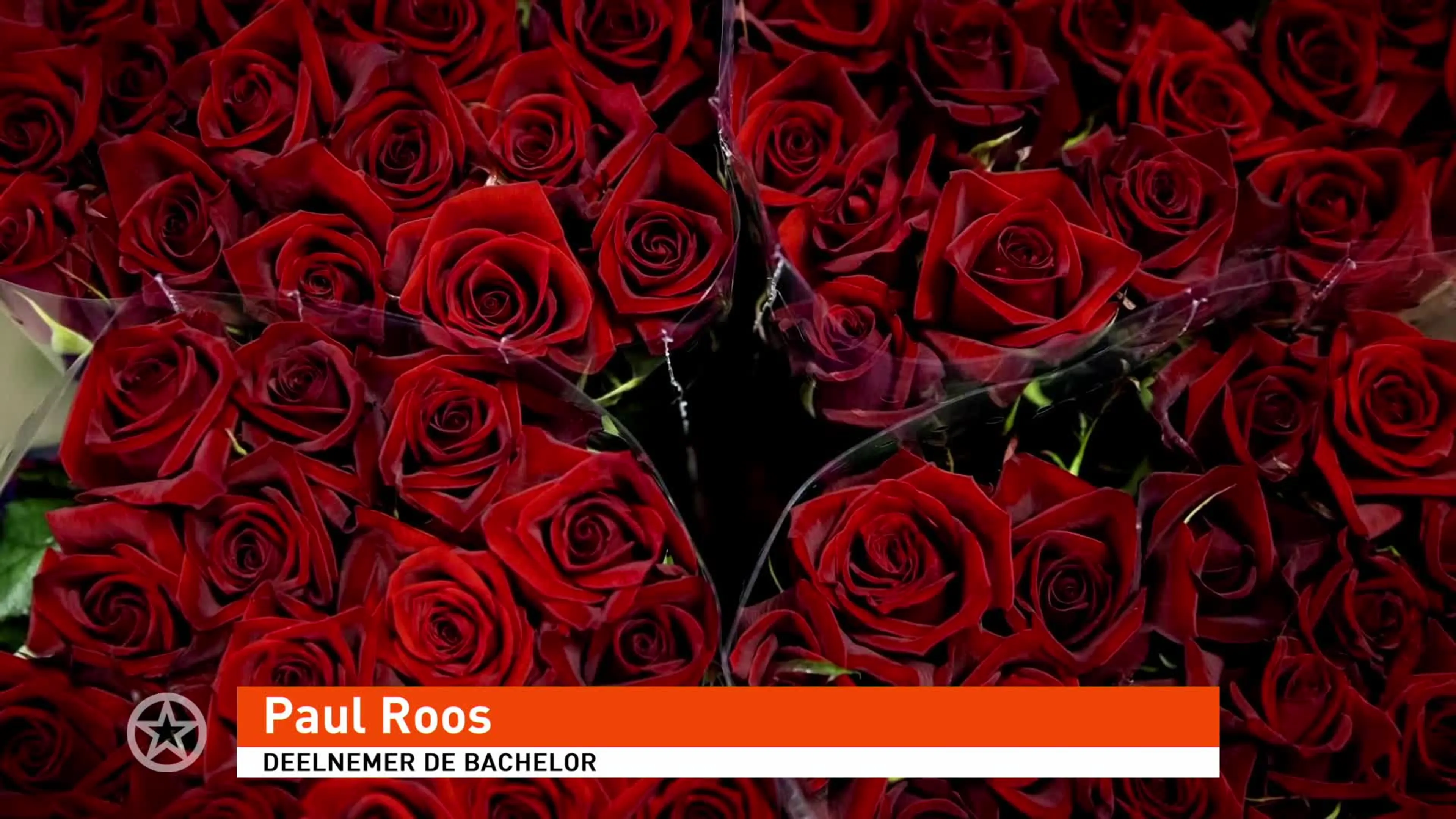 Bachelor-Paul onthult pikante details over dreamdates