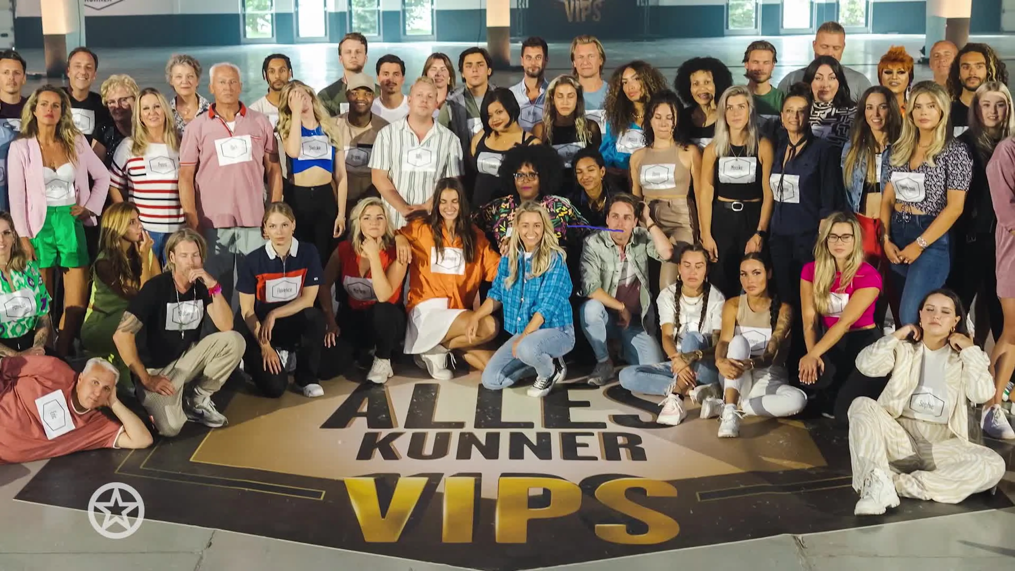 Deze sterren doen mee aan De Alleskunner VIPS!