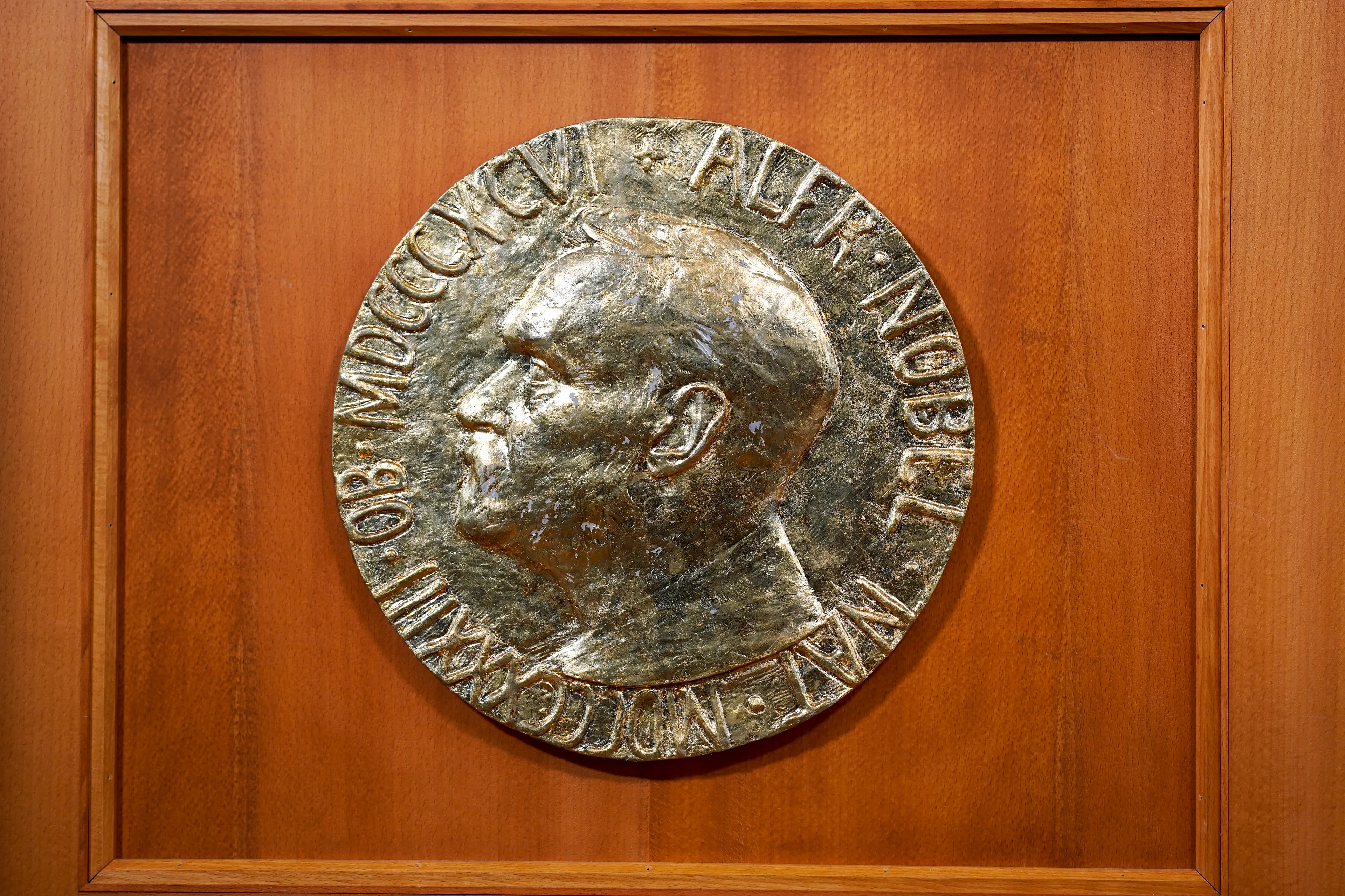 Hier is de Nobelprijs voor de Vrede dit jaar aan toegekend