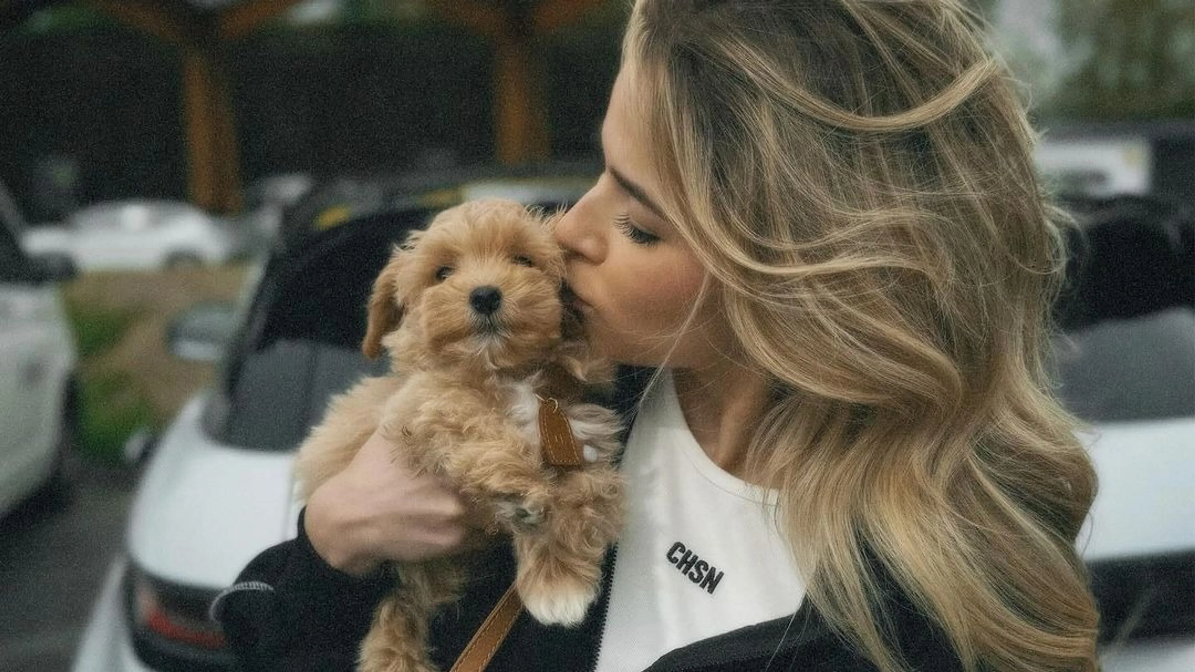 Verdrietig nieuws voor hondje Jade Anna: 'Arm beestje...'