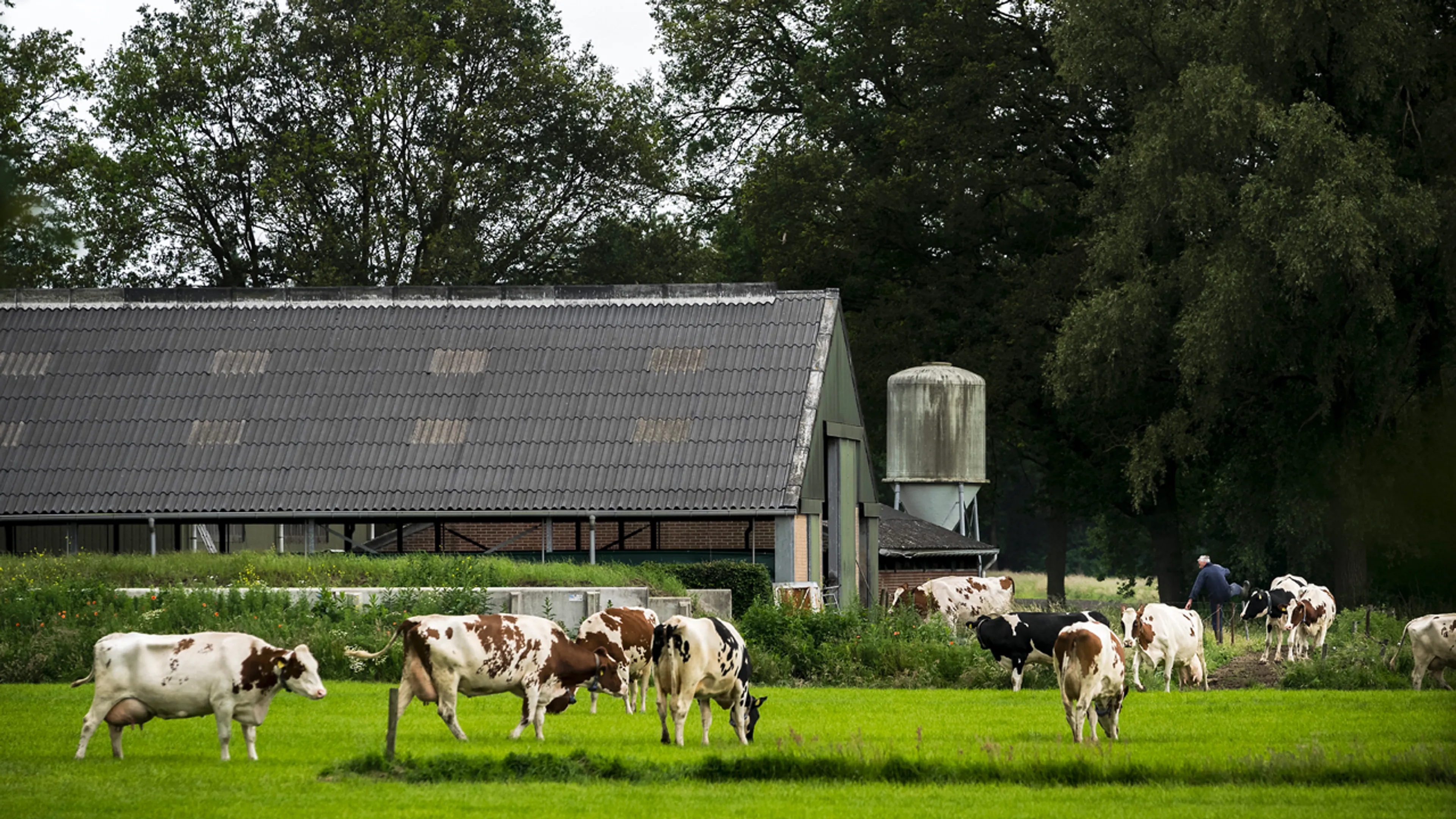 Ingrijpende analyse kabinet, stikstofprobleem grootst in Noord-Brabant en Gelderse Vallei