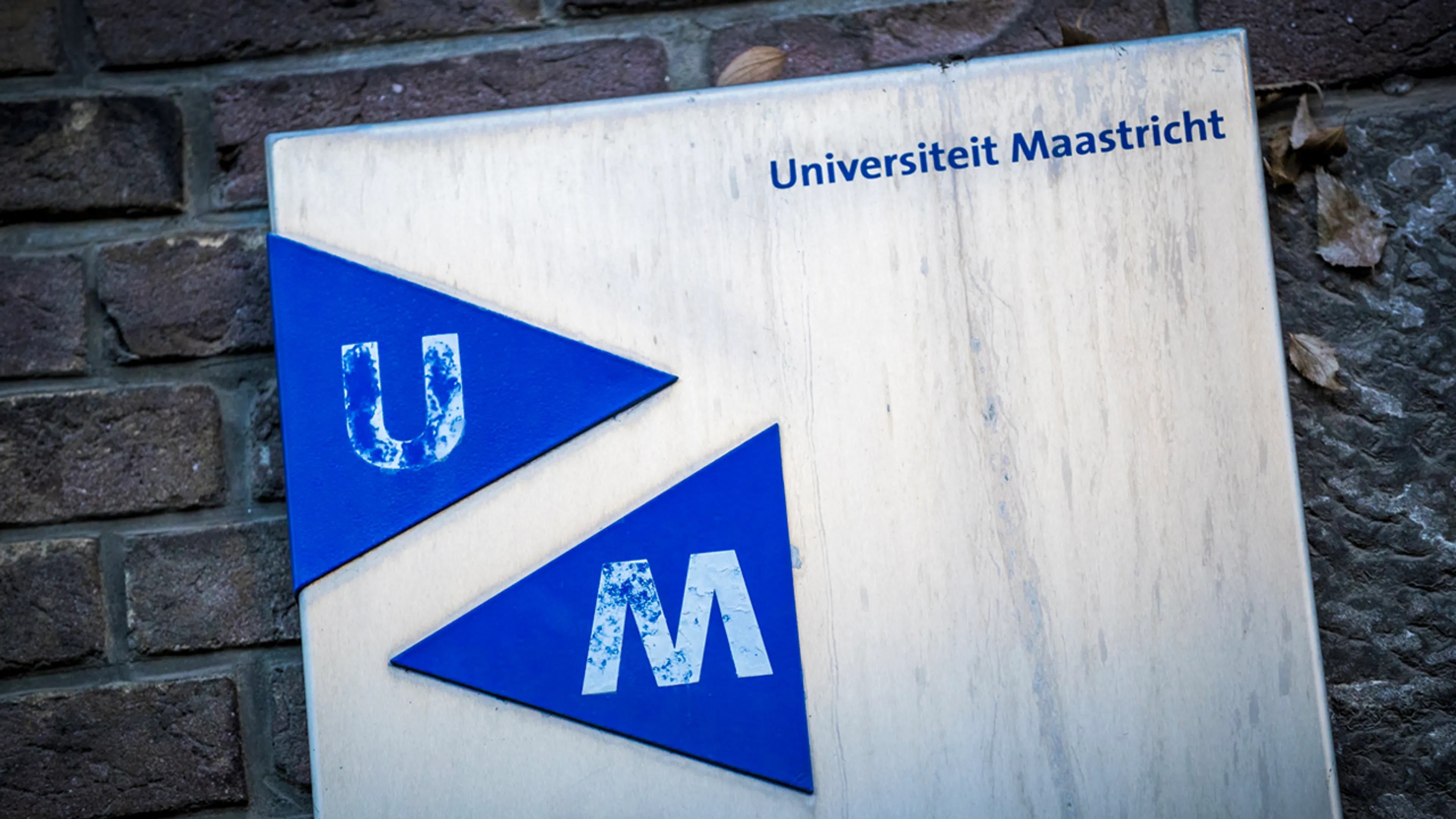 Universiteit Maastricht laat vijf studenten uit Gaza overkomen