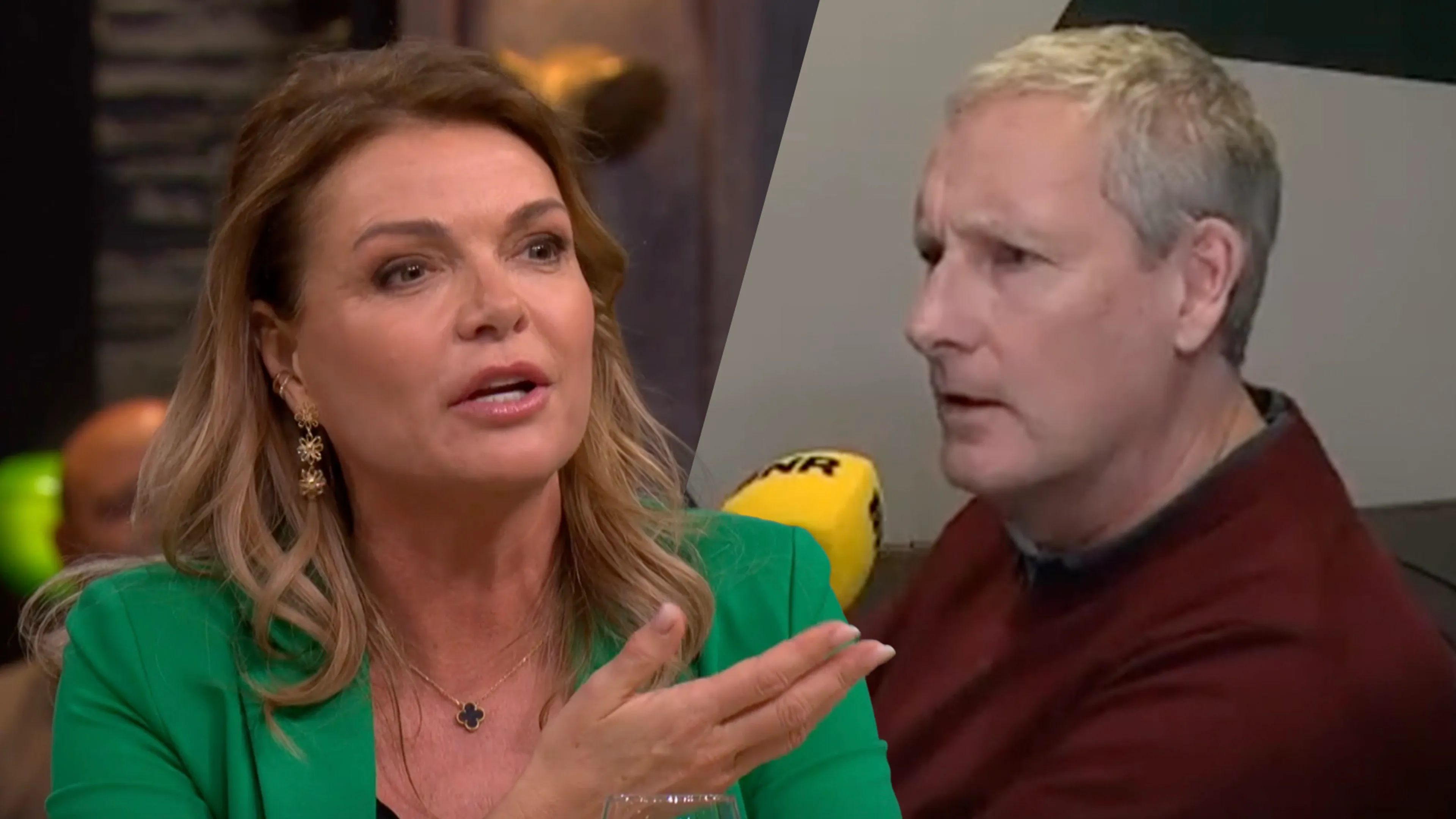 Goedele Liekens geconfronteerd met uitspraken van 'op z'n pik getrapte' Gert Verhulst