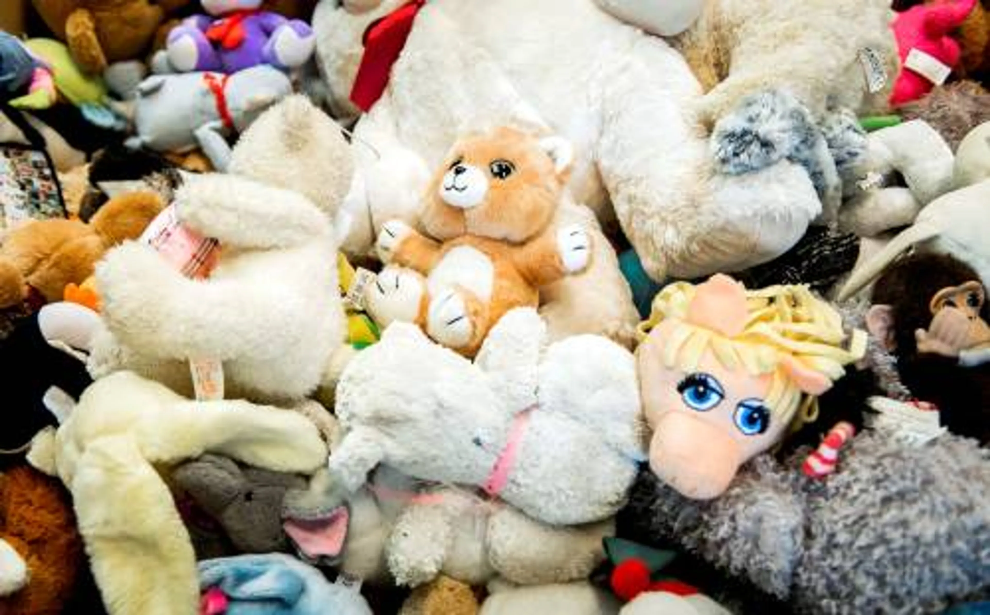 Knuffels toch welkom in De Kuip