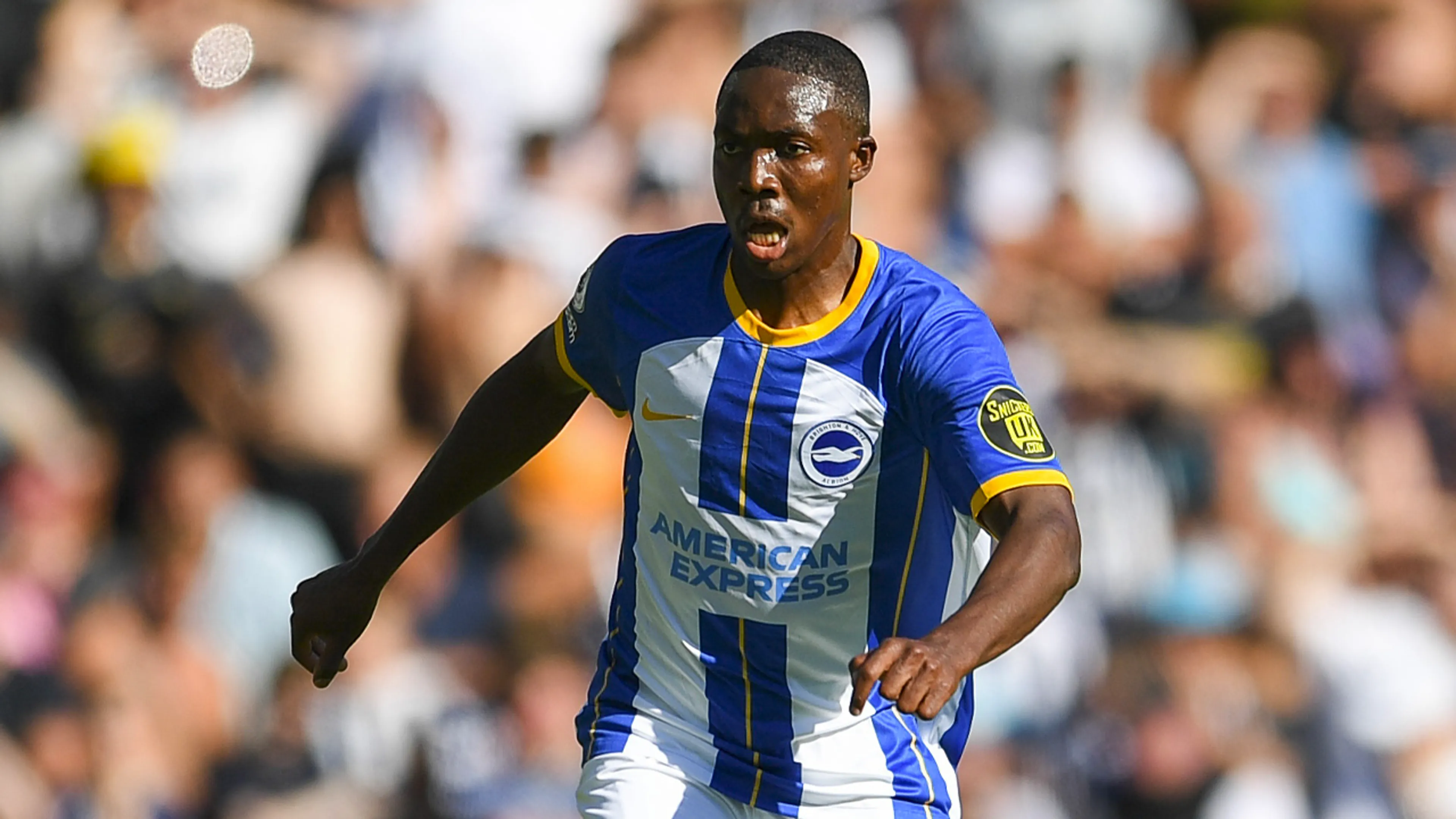 Brighton-sterkhouder Mwepu (24) moet carrière noodgedwongen beëindigen