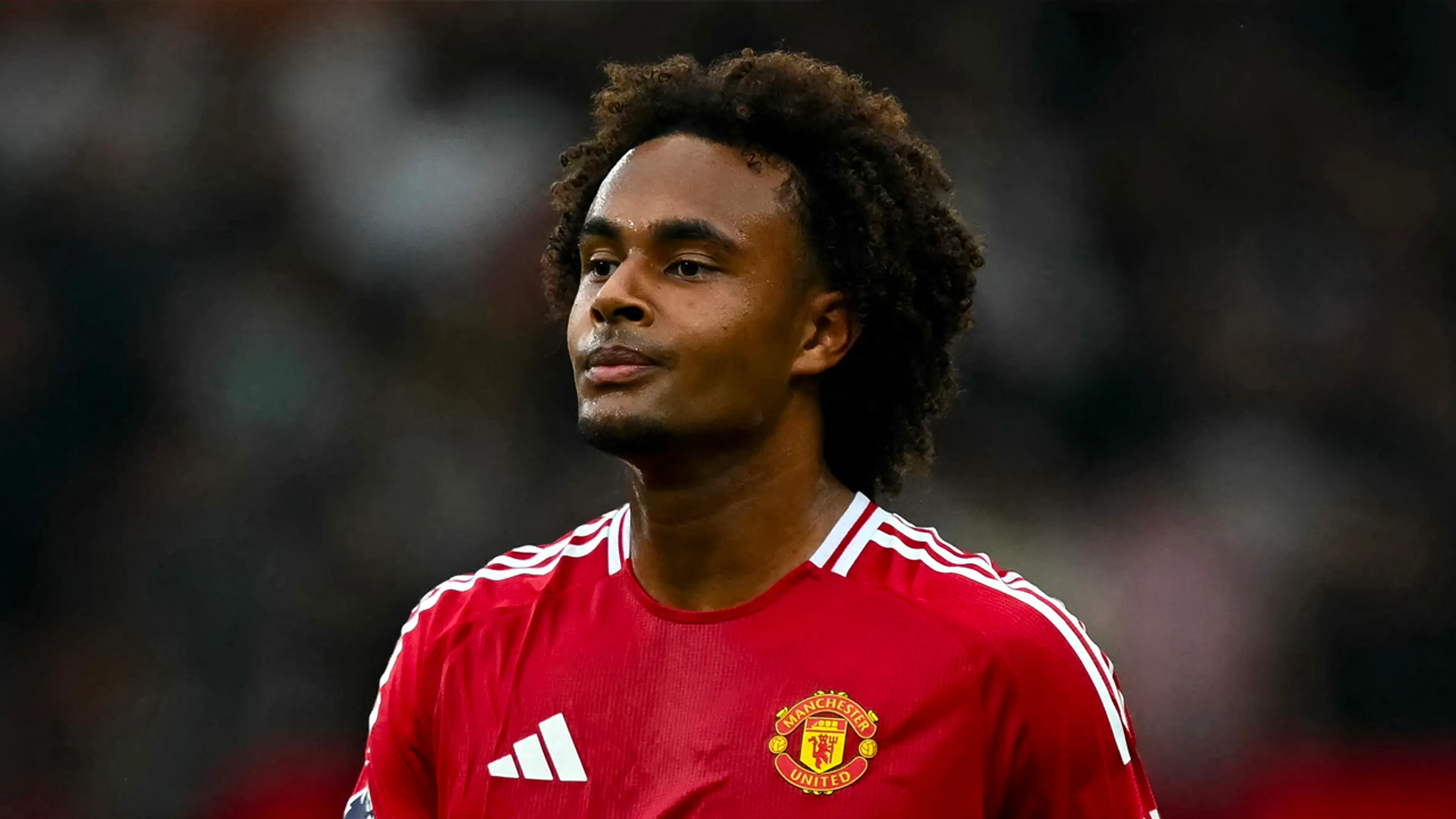 'De droomkandidaat van PSV is normaal gesproken Joshua Zirkzee'