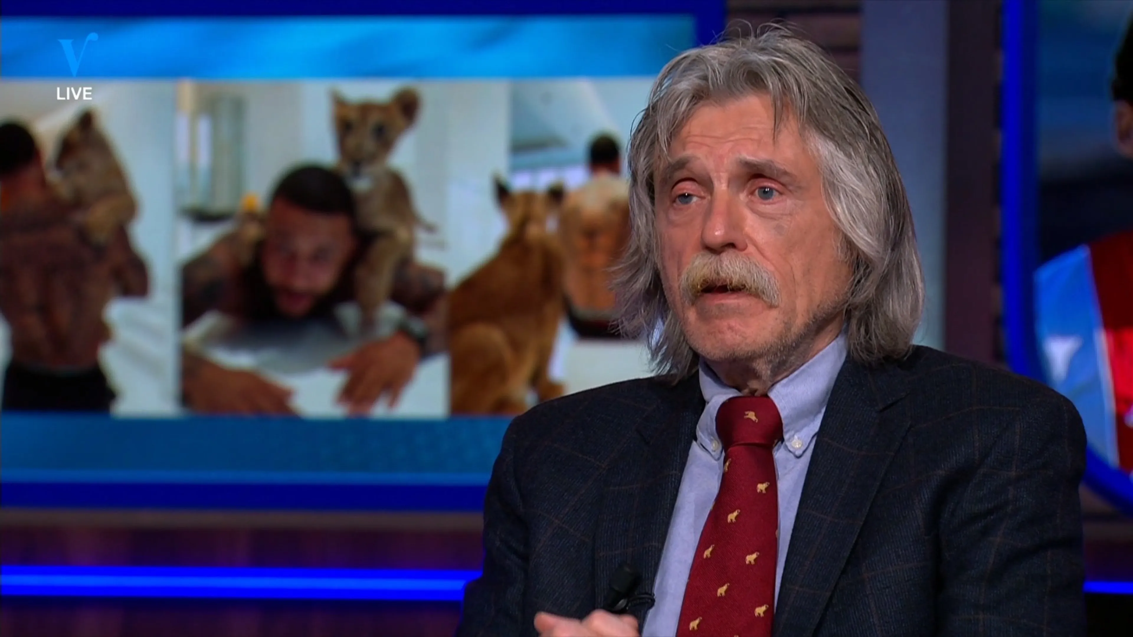 Johan ziet foto van Memphis met lijger: 'Ik vind het dierenmishandeling'
