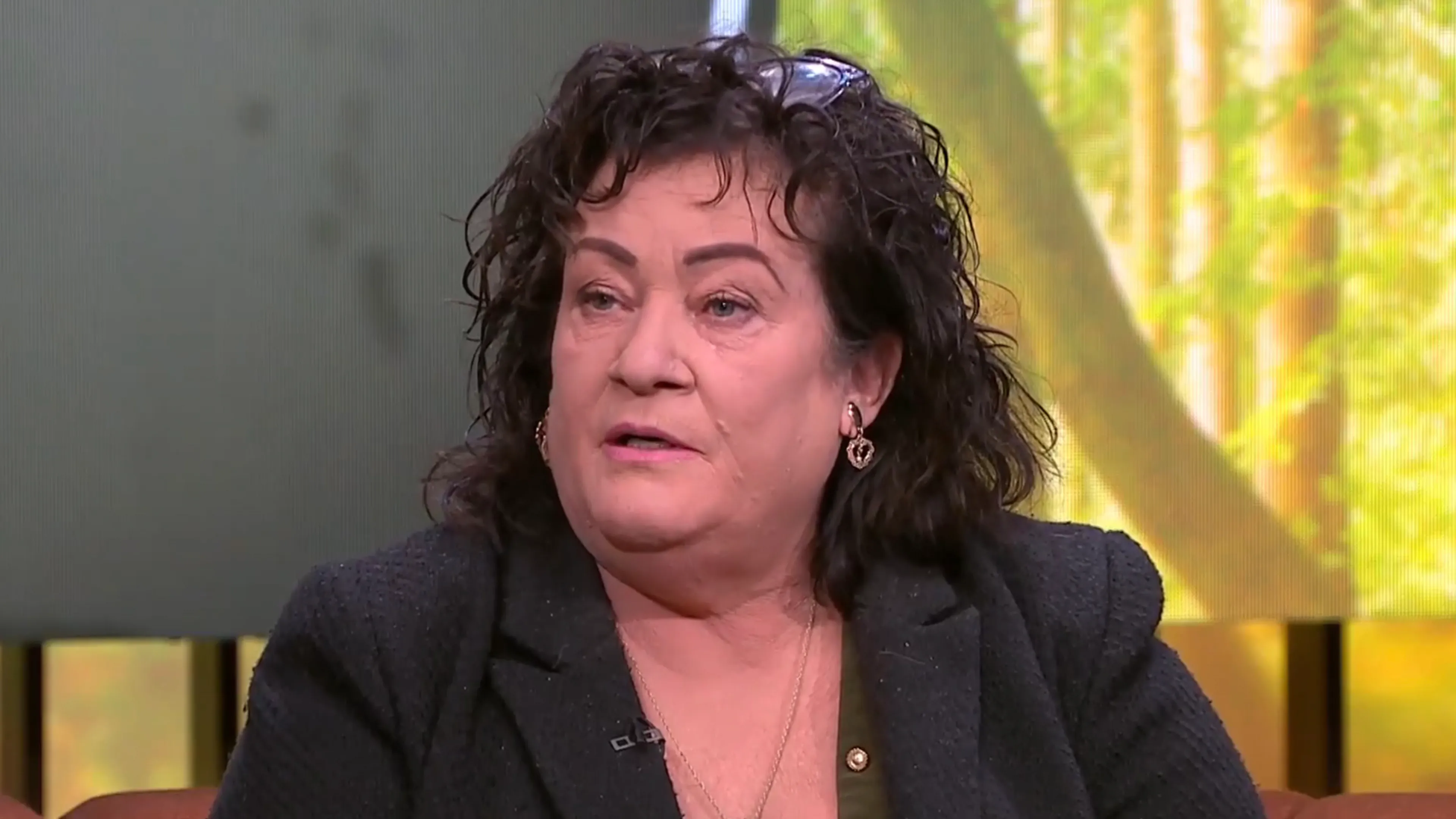 Caroline van der Plas beticht D66 van kiezersbedrog