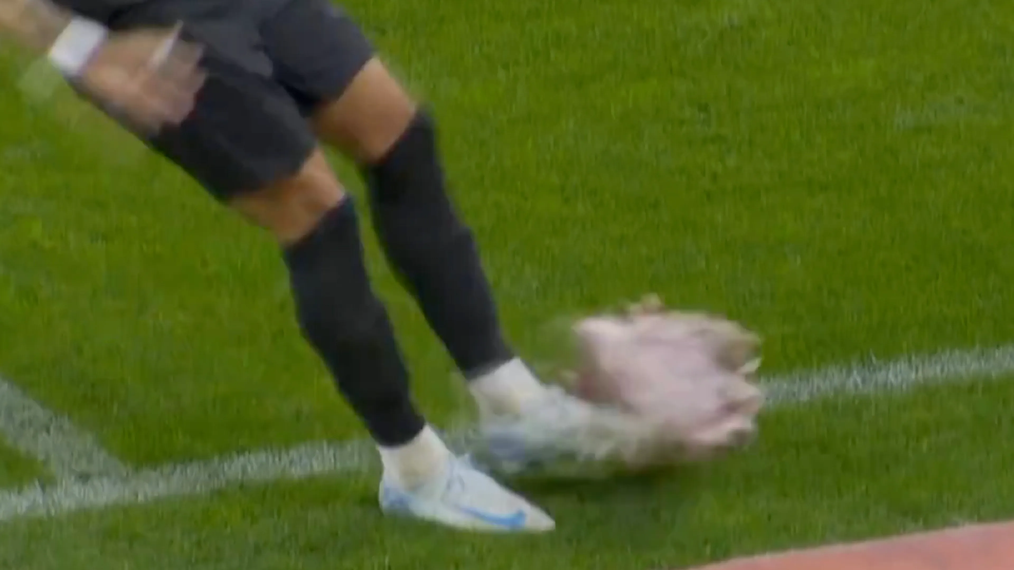 Video: Memphis ziet varkenskop op veld gegooid worden tijdens Braziliaanse derby