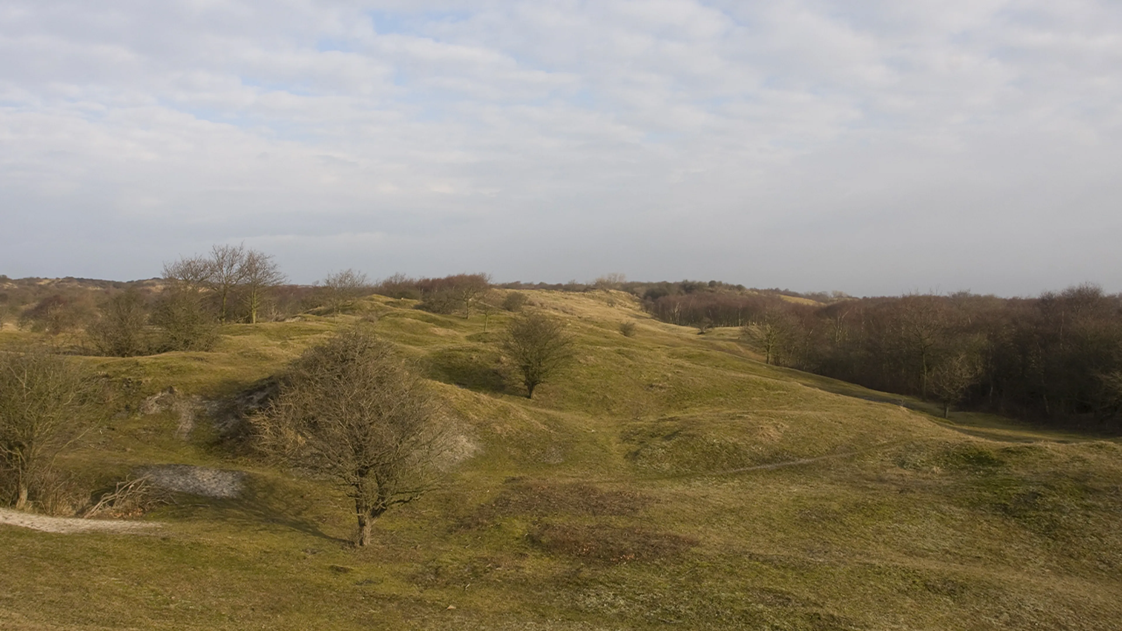 Zeeuwse gemeente grijpt keihard in: Seksverbod in duinen na overlast van vrijpartijen