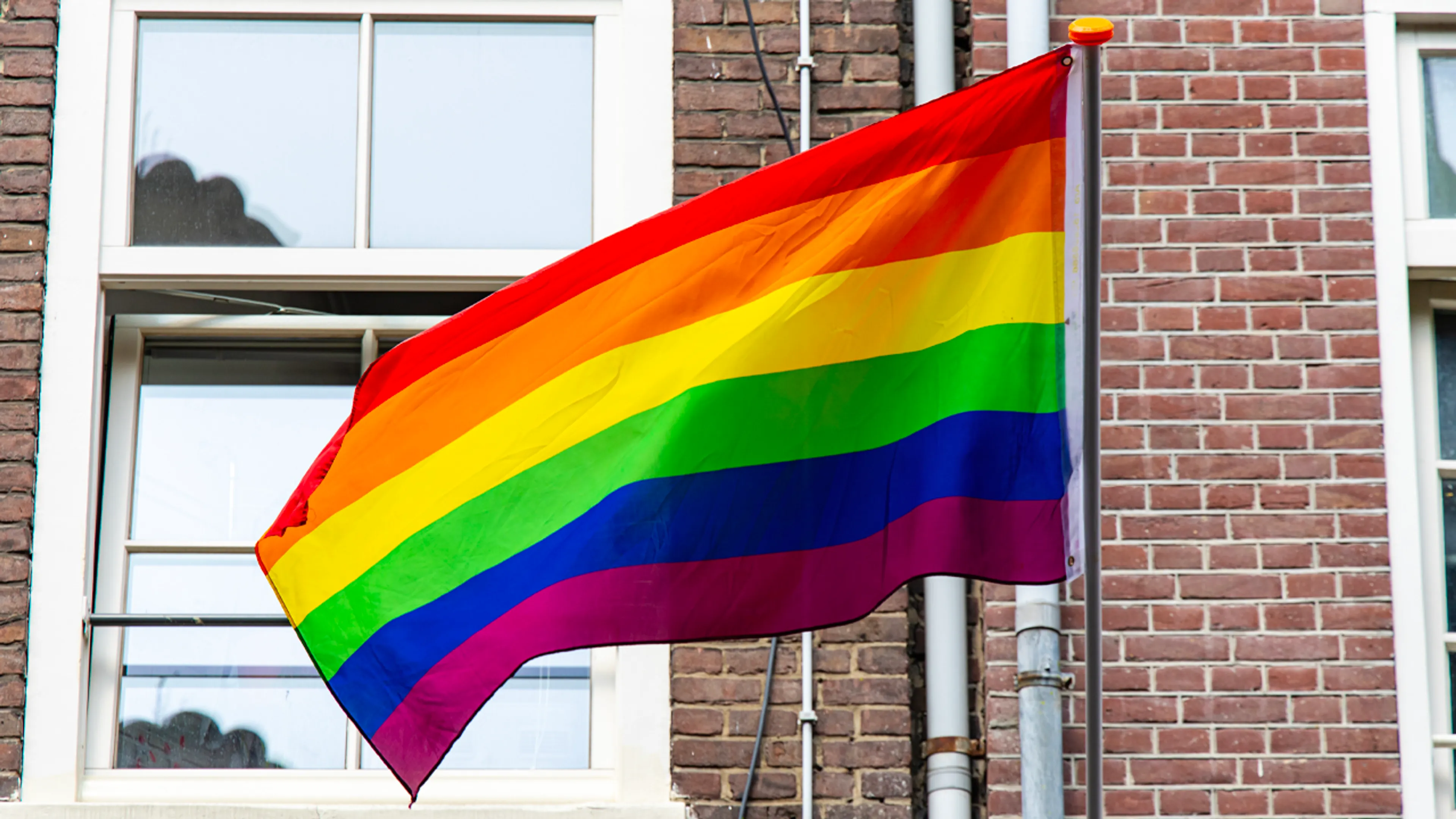 Eerste Kamer stemt voor verbod op 'homogenezing'
