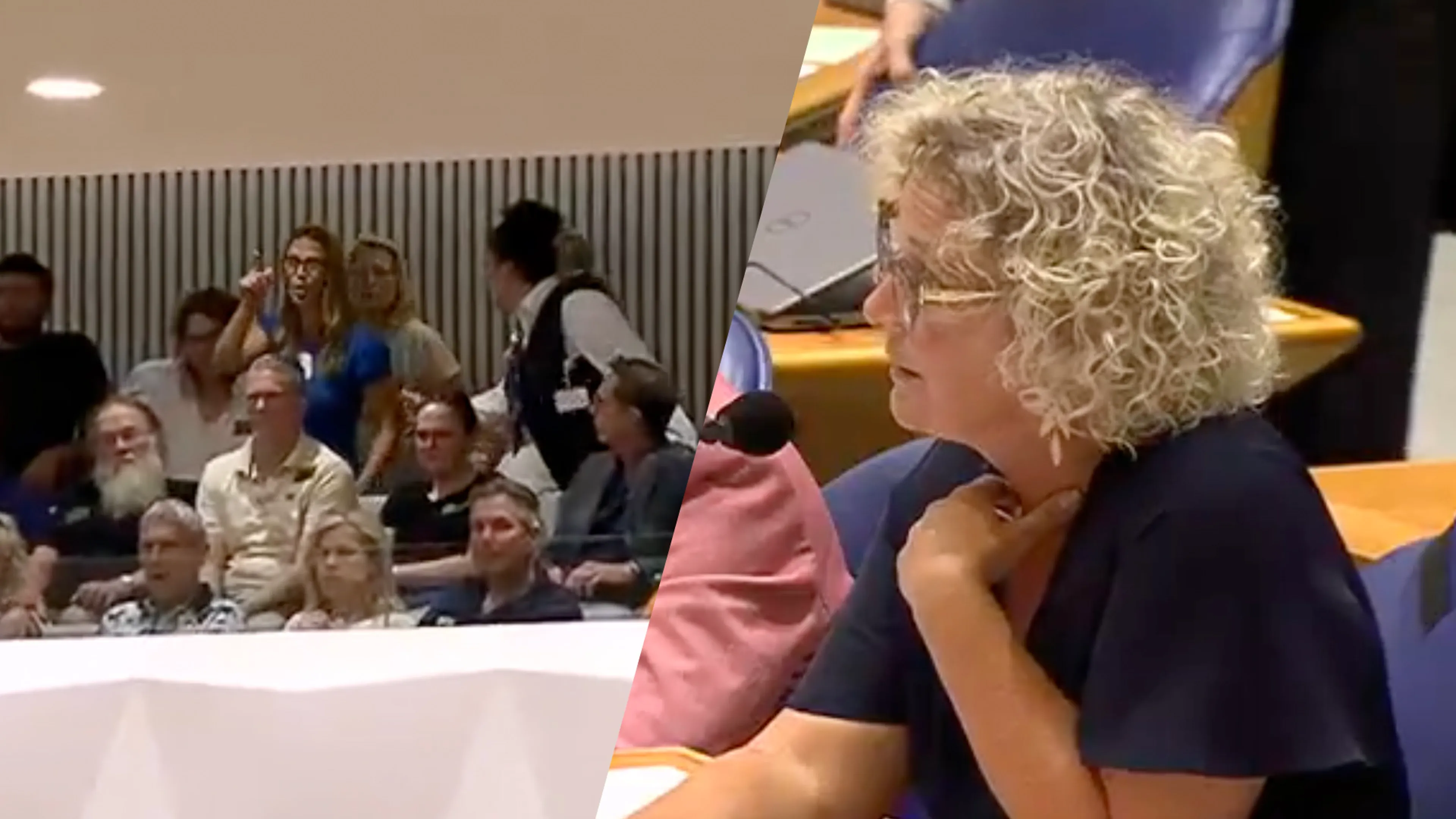 Voorzitter grijpt in na rumoer tijdens stikstofdebat: 'Deze mevrouw gaat van de tribune'