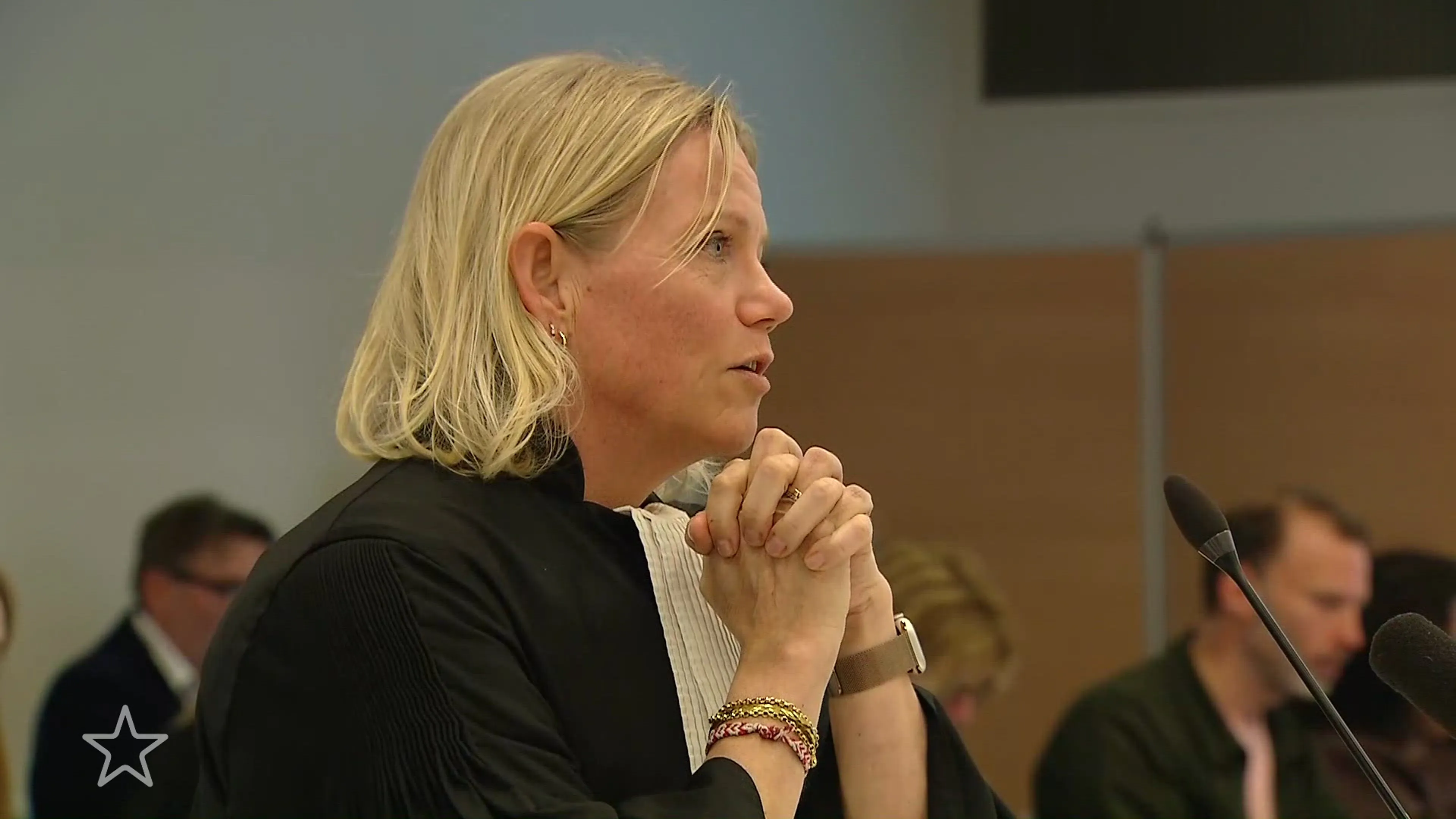 Spreekrechtverklaring Ellen ten Damme in zaak Ali B