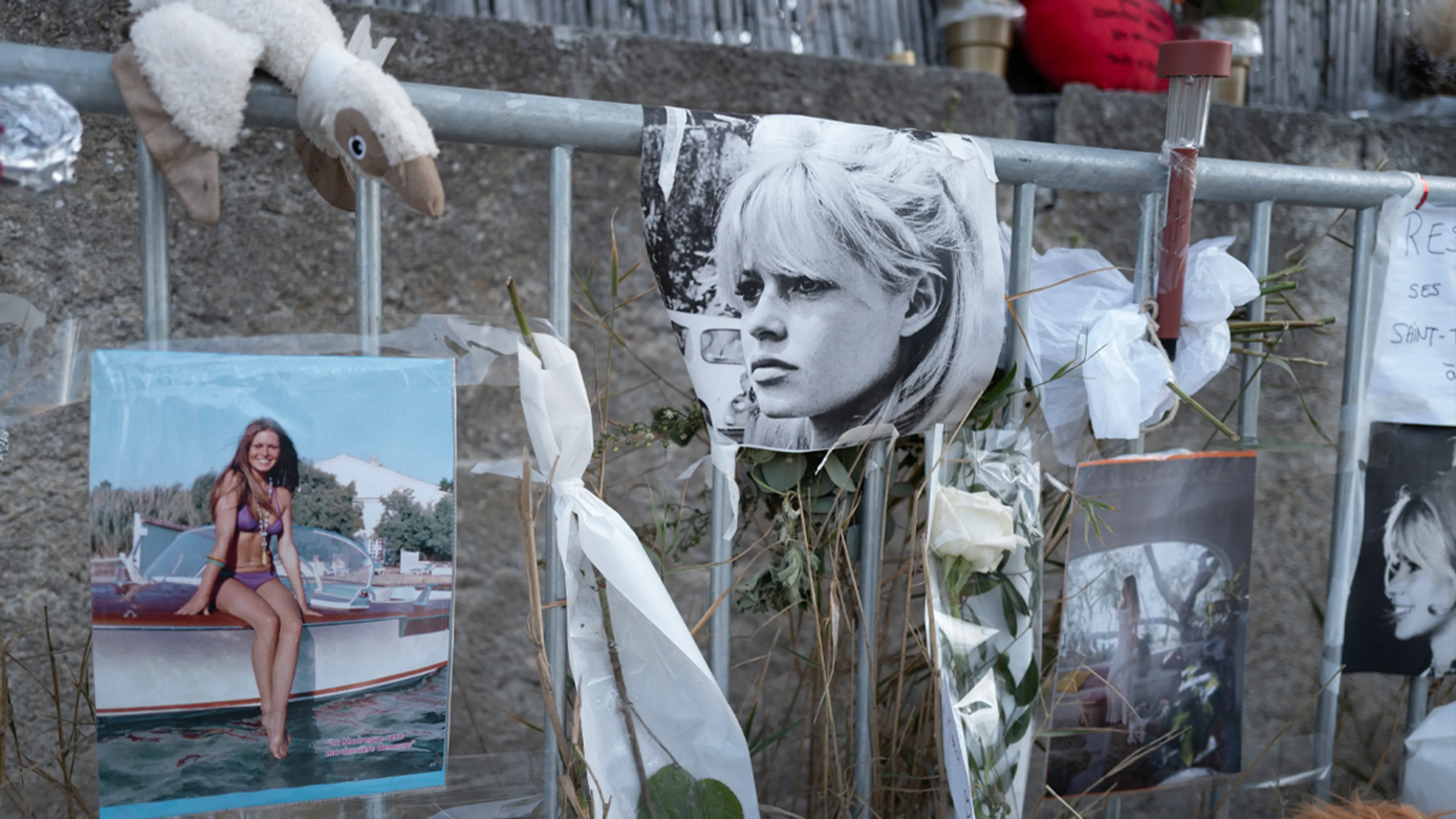 Doodsoorzaak bekend: Brigitte Bardot overleed aan gevolgen van kanker