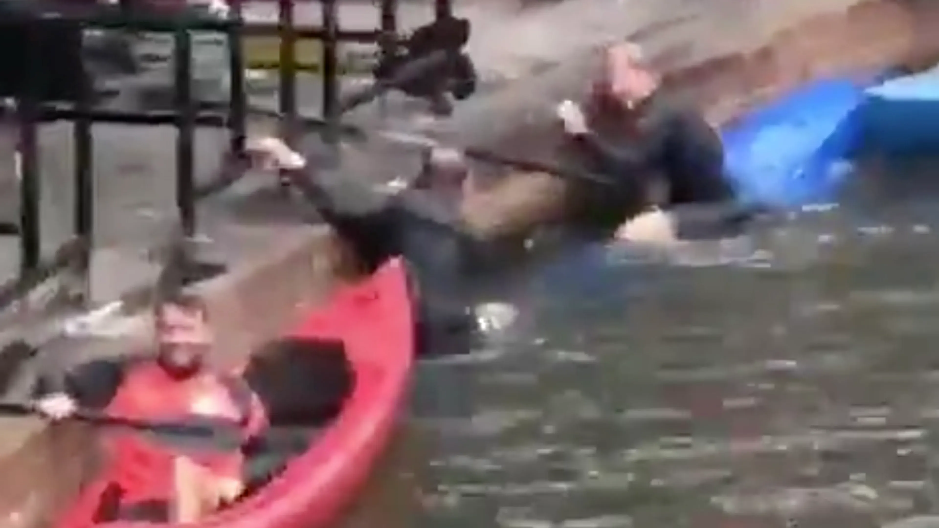 John van den Brom valt in het water tijdens teamuitje FC Utrecht