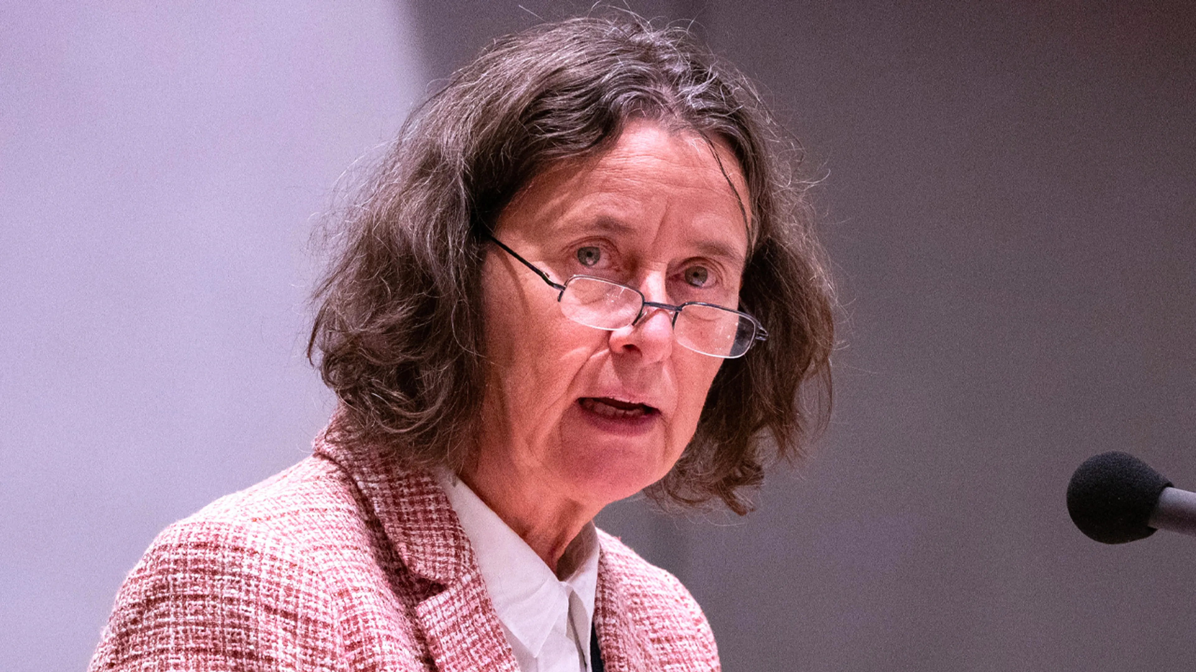 Asielminister Marjolein Faber wil niet werken met ex-woordvoerder van Femke Halsema