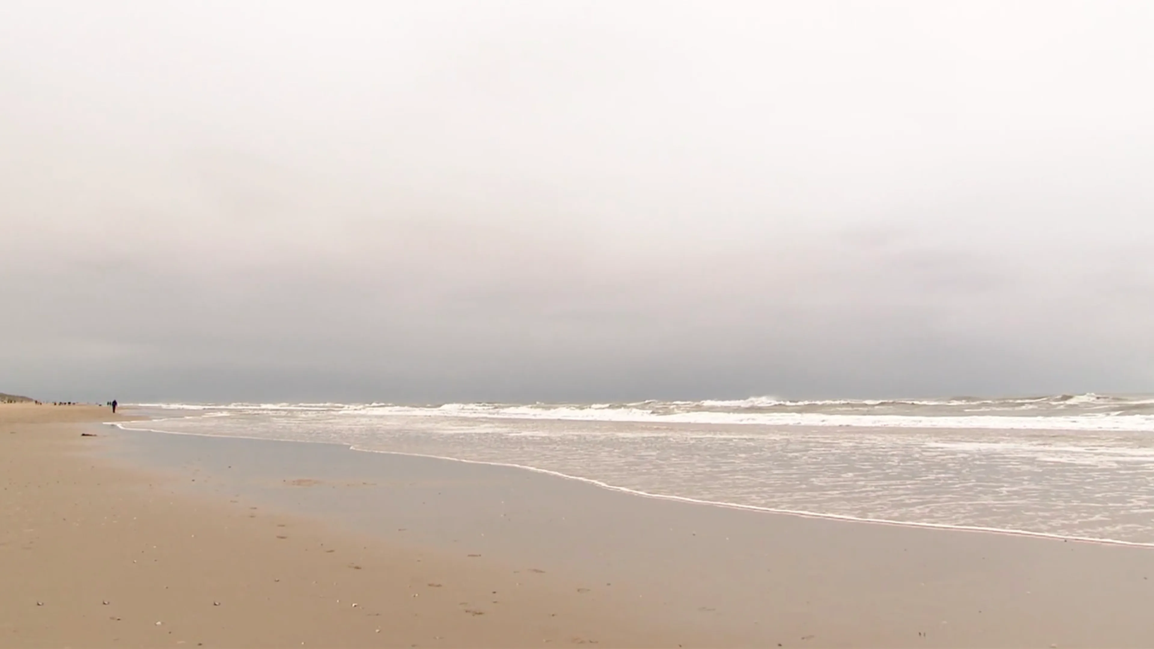 Aangespoelde lichaamsdelen op Texel zijn van twee Afghaanse vluchtelingen