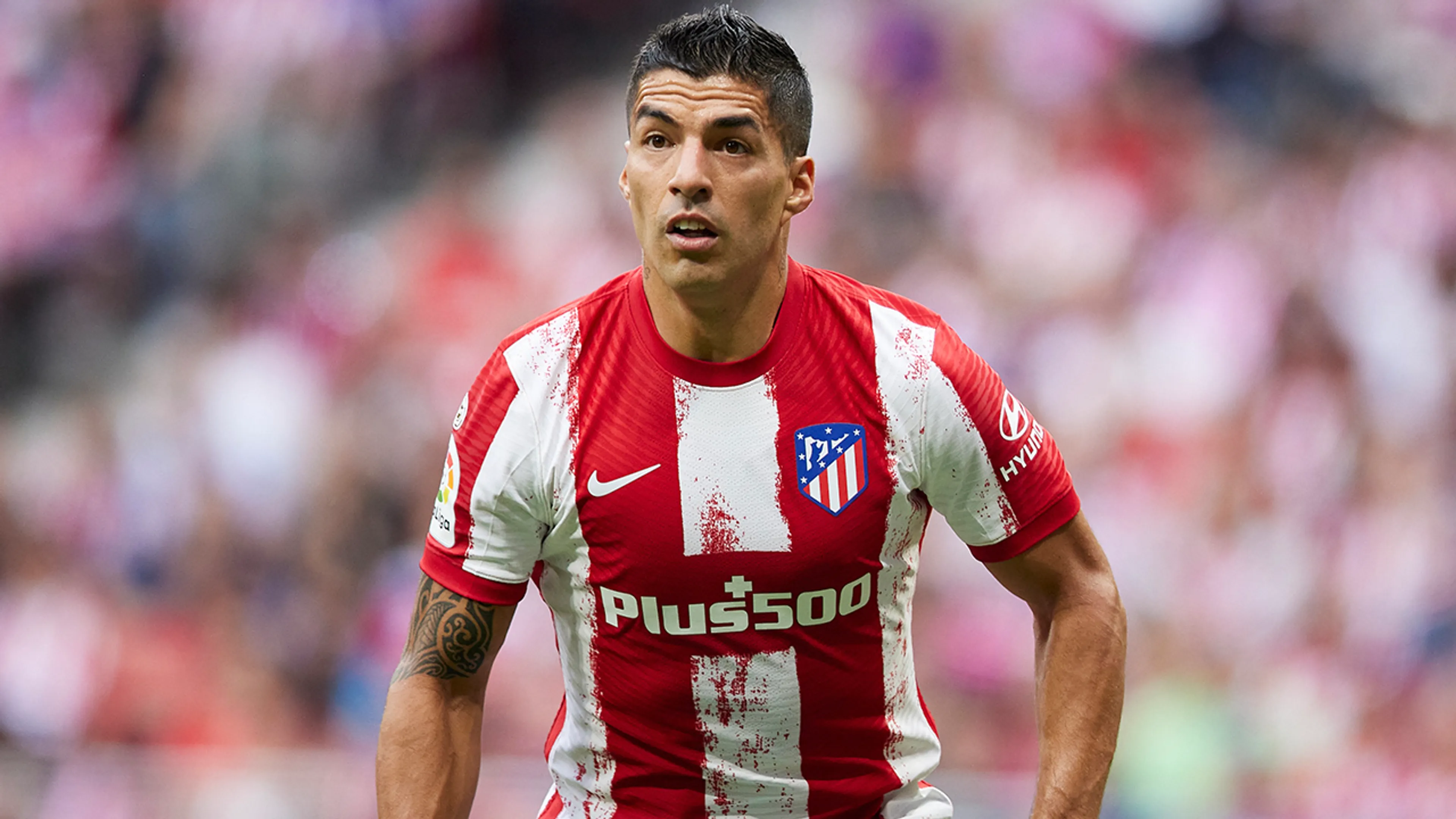 'Luis Suárez aangeboden als vervanger van Sébastien Haller'