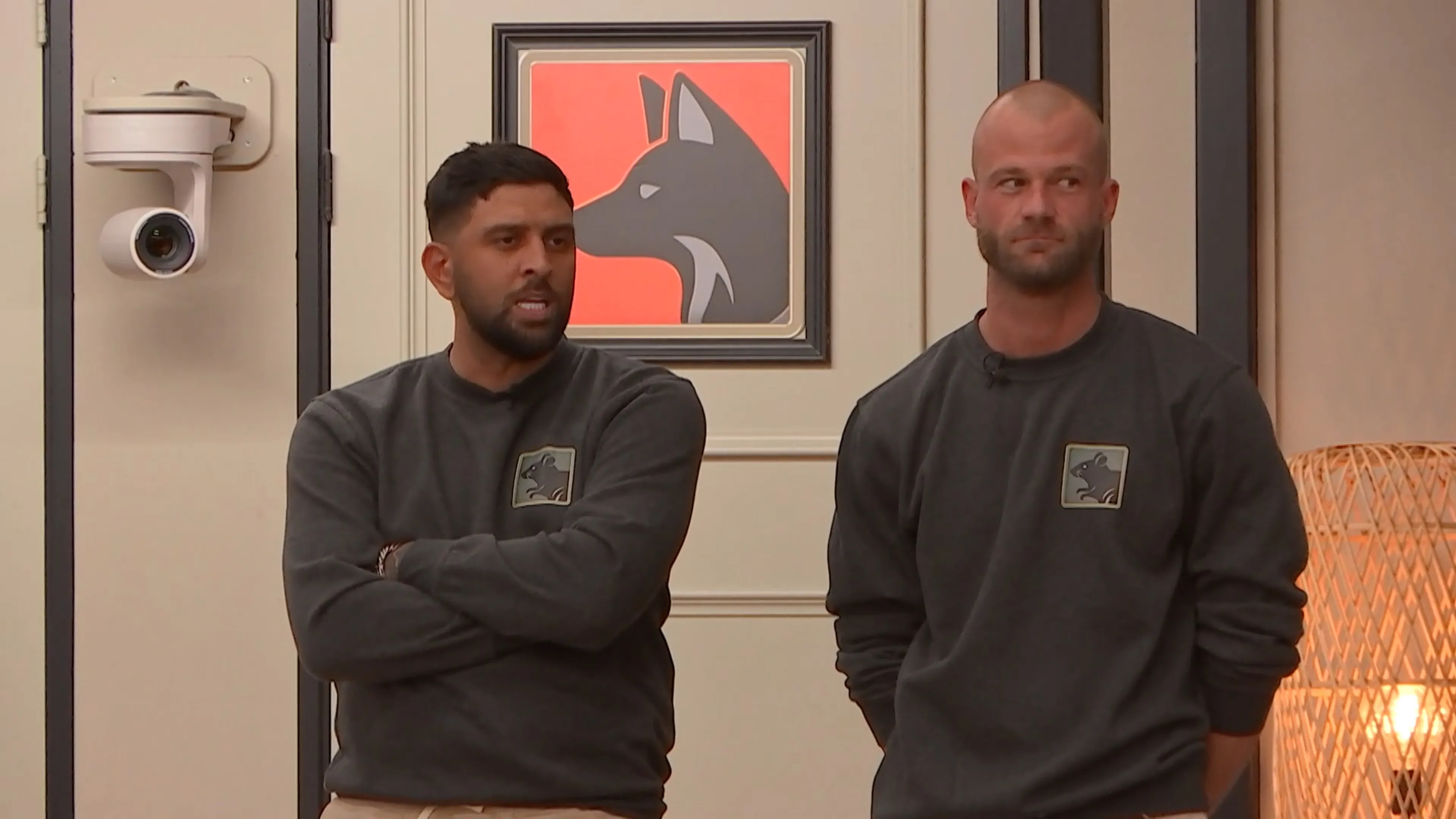 Slangen en ratten maken ruzie: 'Pas maar op dat ik jou niet pak'