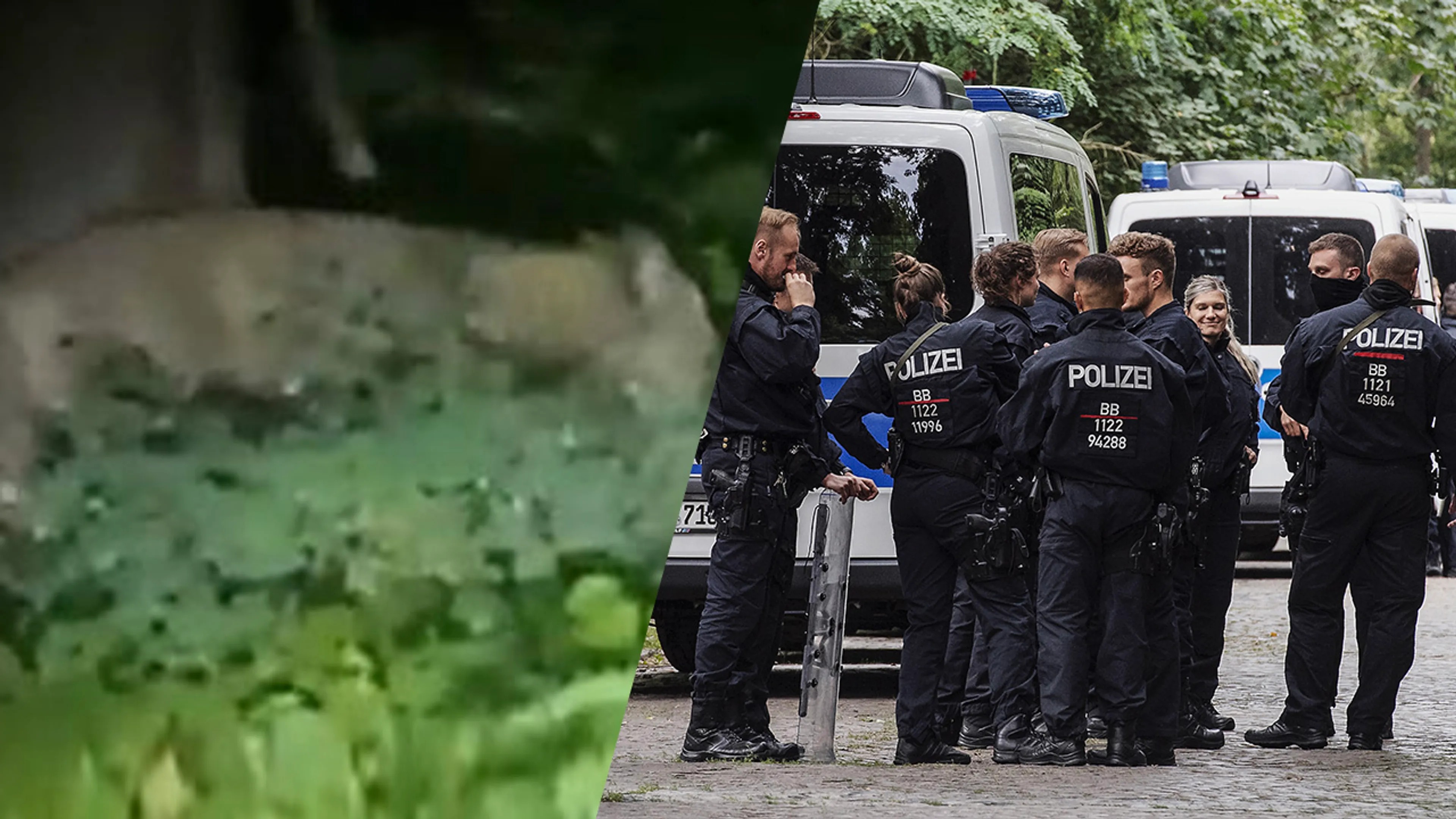 Verrassende wending in zoektocht naar Leeuwin in Duitsland: 'Het is een wild zwijn'