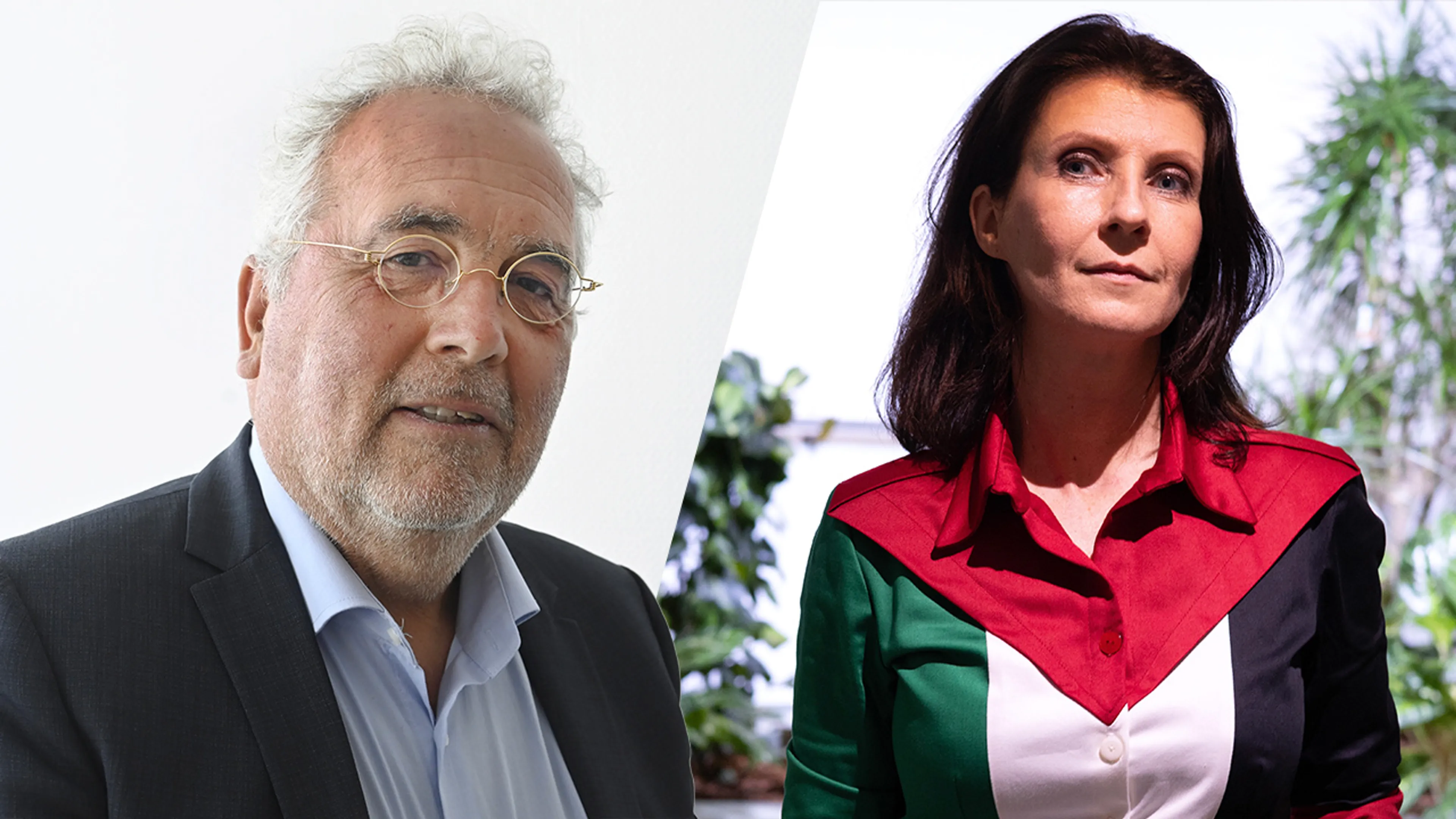 Medeoprichter Partij voor de Dieren Koffeman vertrekt: 'Partij voor de Gazanen geworden'