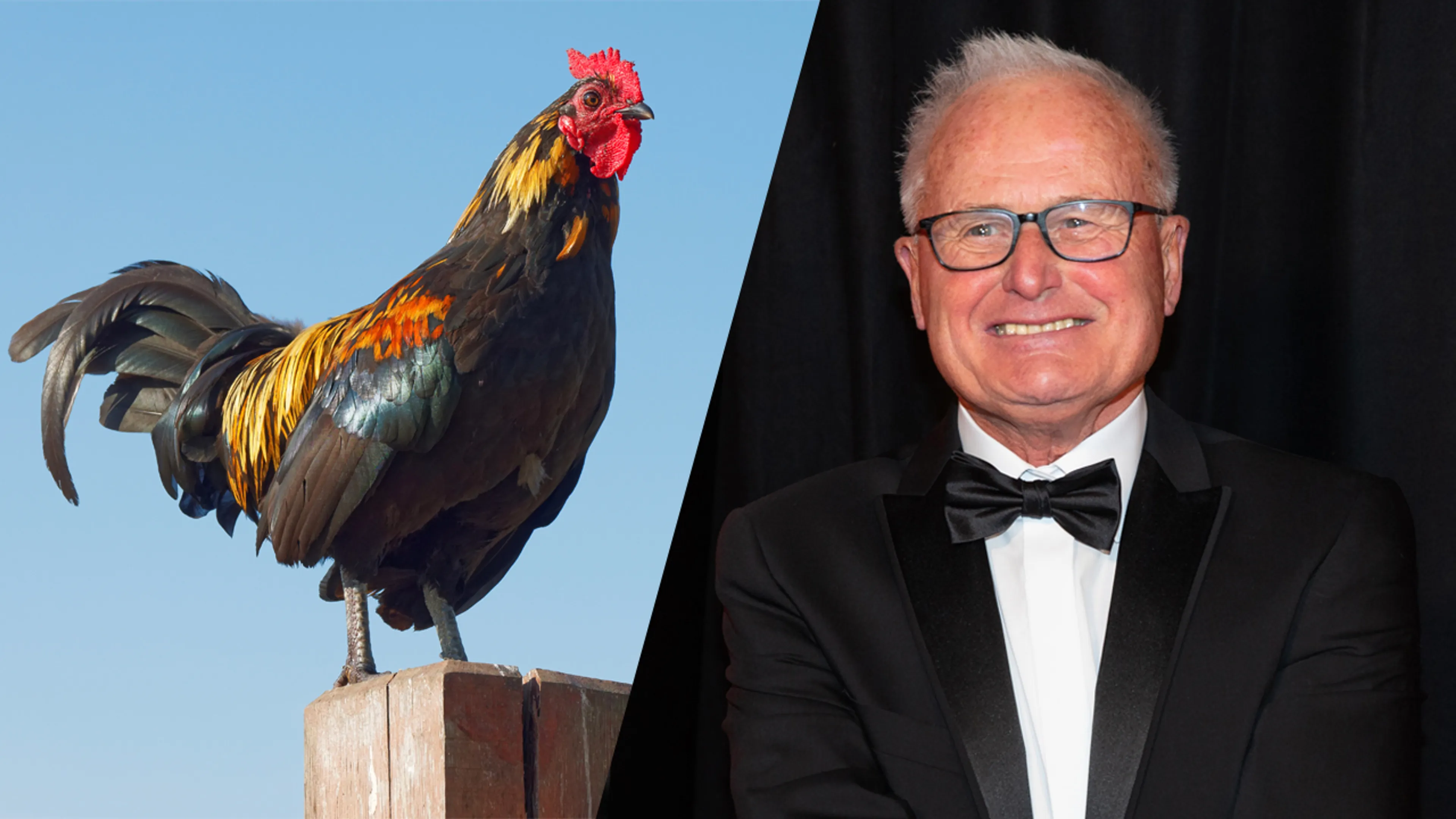 BREAKING: Nieuwslezer Jan de Hoop vernoemt nieuwe haan naar Foppe de Haan