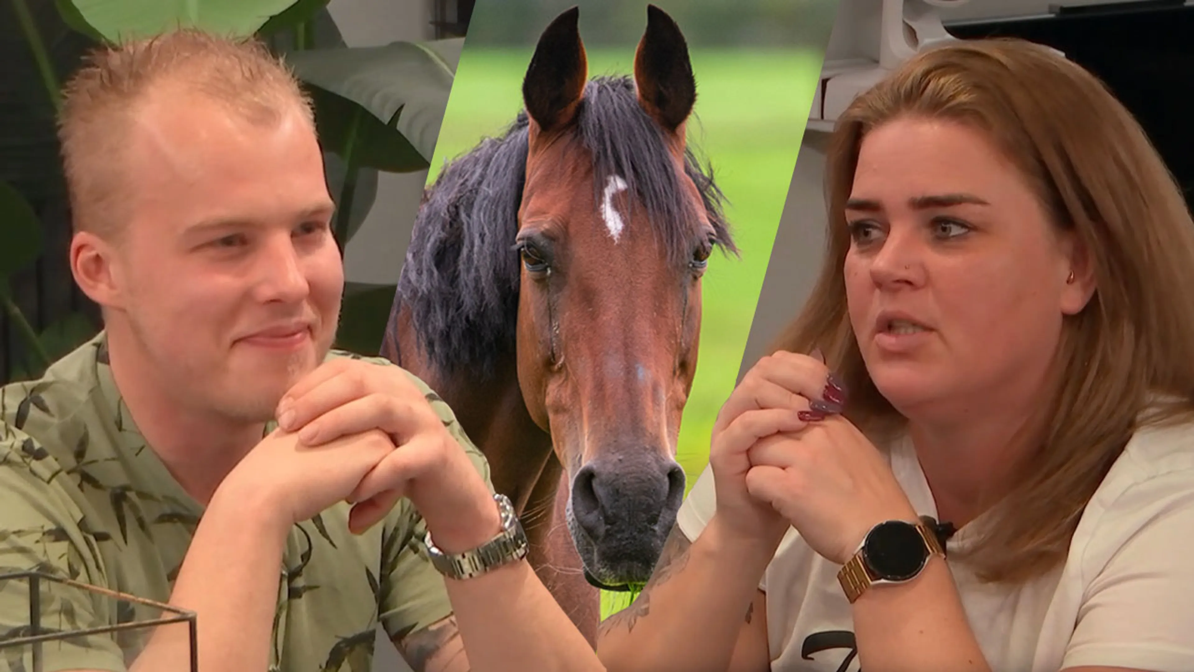 LLDL-deelnemer geïrriteerd na opmerking over paarden: ‘Dan had ik jou gelijk op die plaat gegooid!’