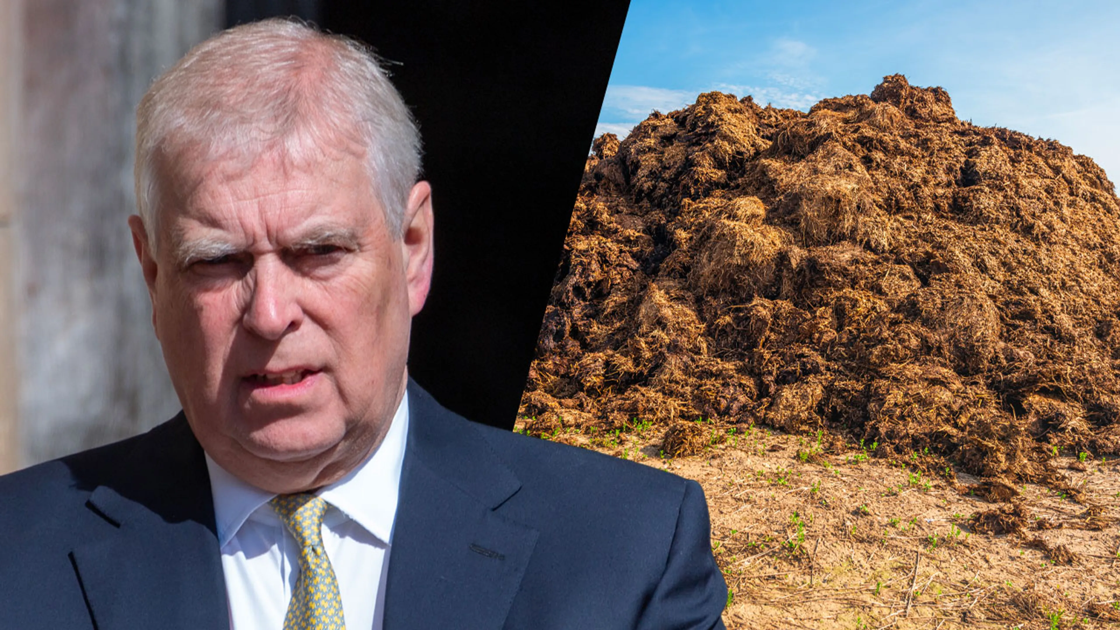Onaangename verrassing voor ex-prins Andrew: tonnen mest gedumpt bij nieuwe woning
