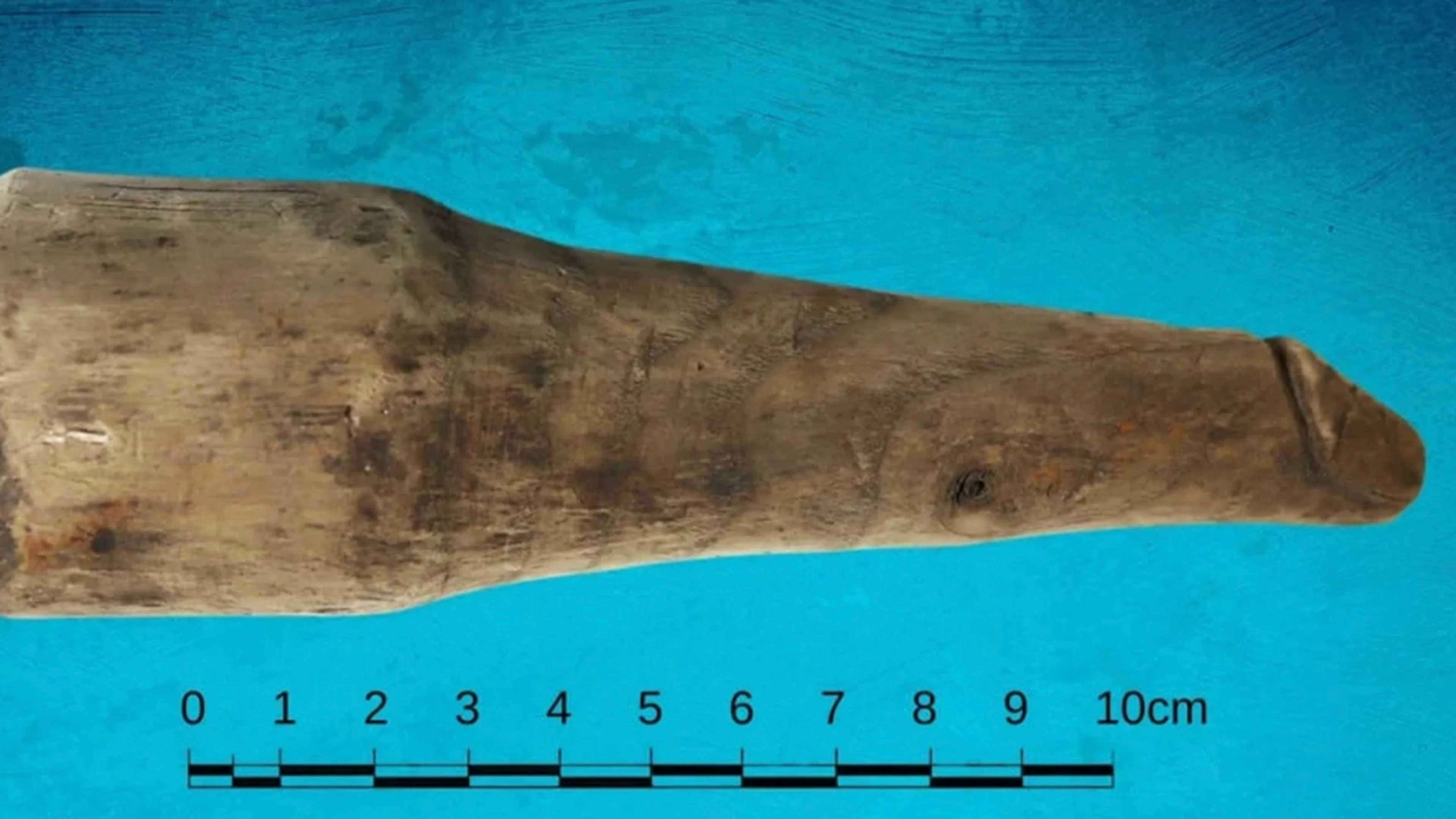 Engelse archeologen vinden 2000 jaar oude dildo