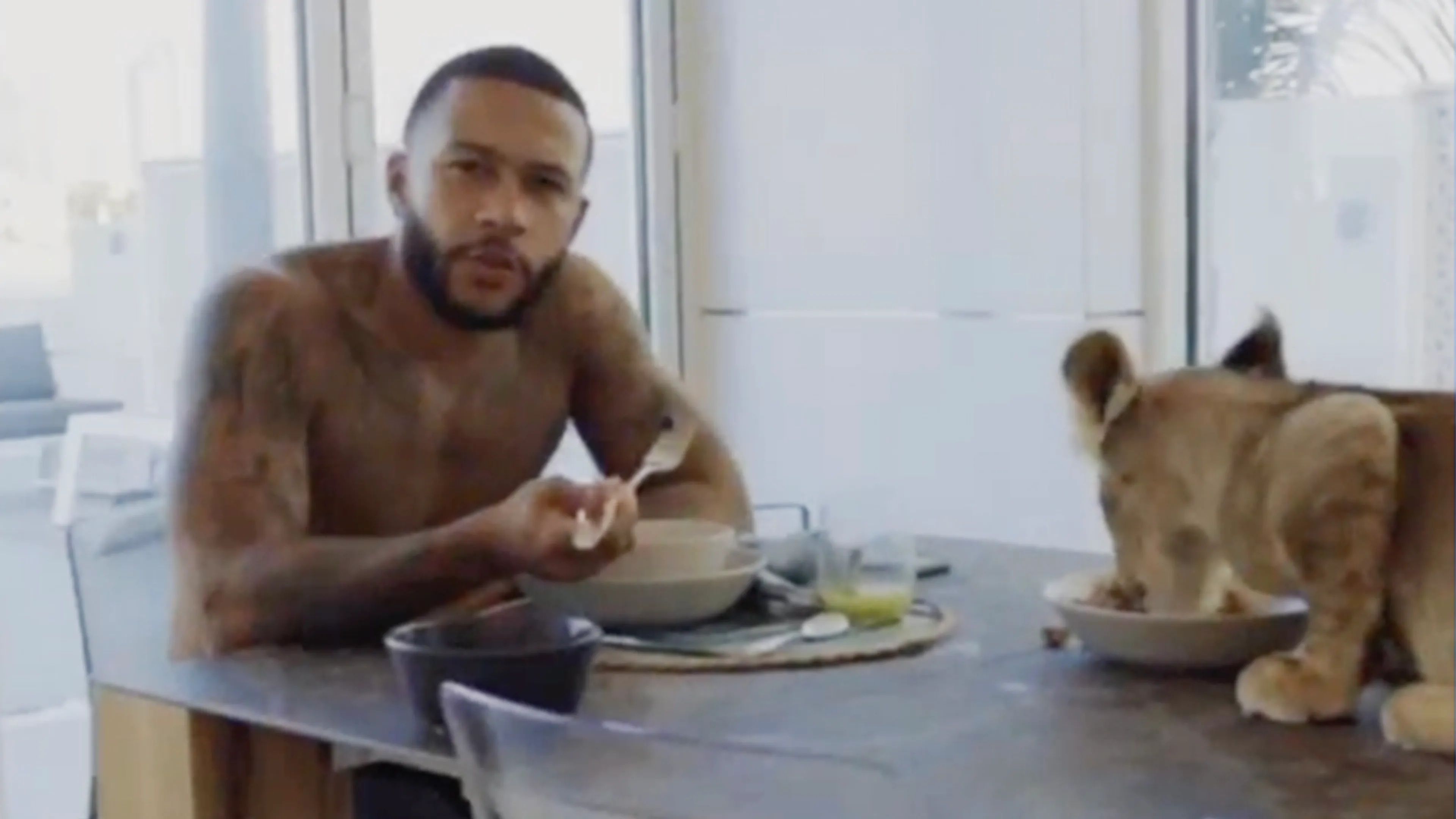 Memphis teased nieuwe muziek en videoclip inclusief lijger