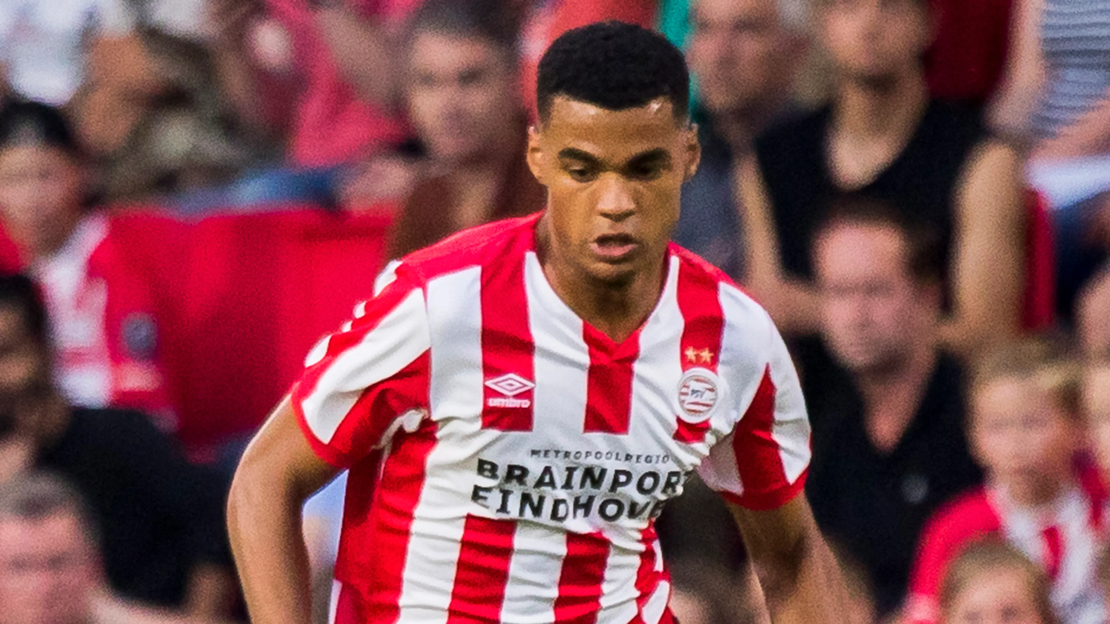 PSV met Gakpo in de basis tegen Haugesund, Lozano ontbreekt