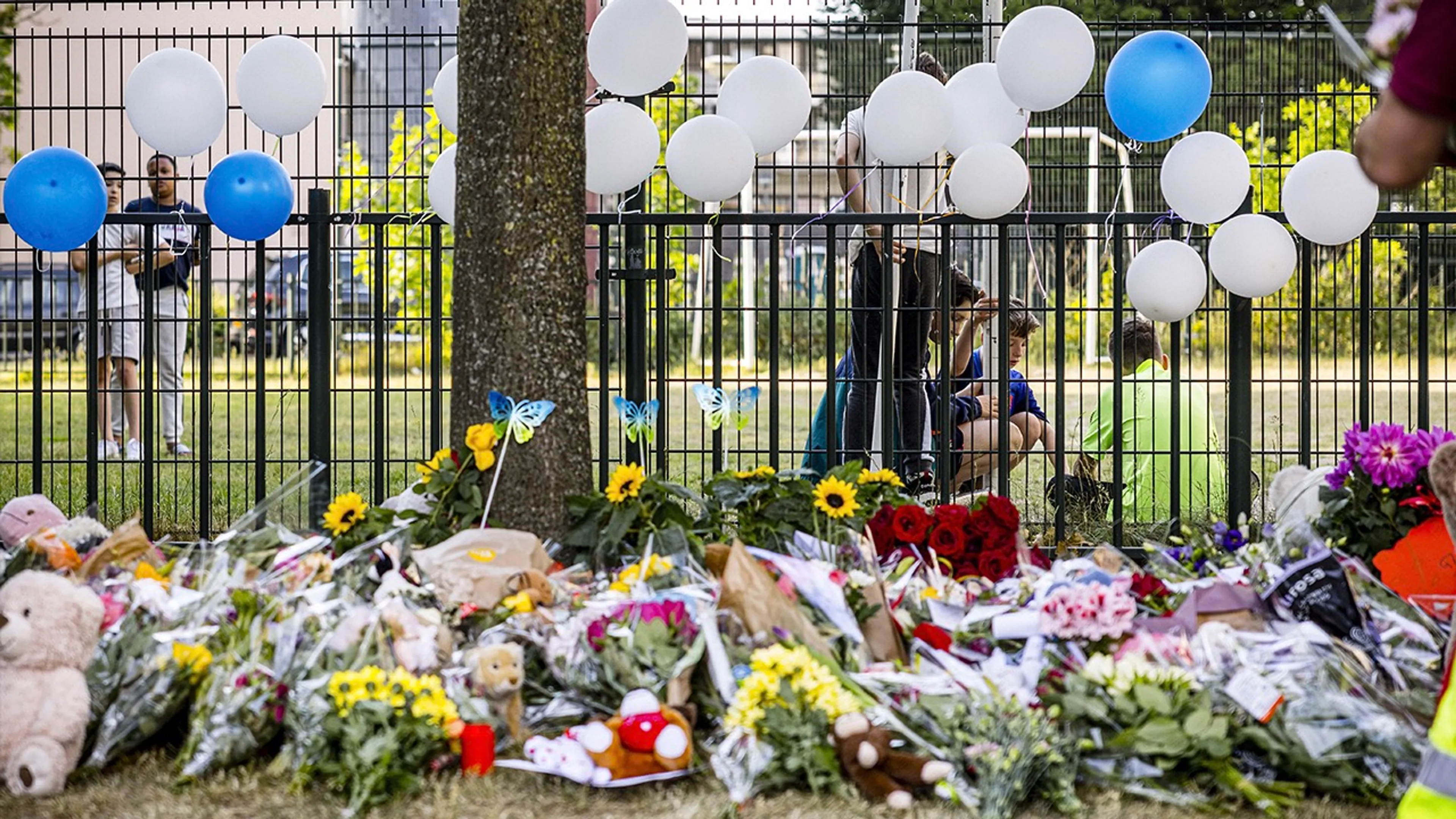 Verdachte zaak Gino verdacht van moord, voor onderzoek naar Pieter Baan Centrum