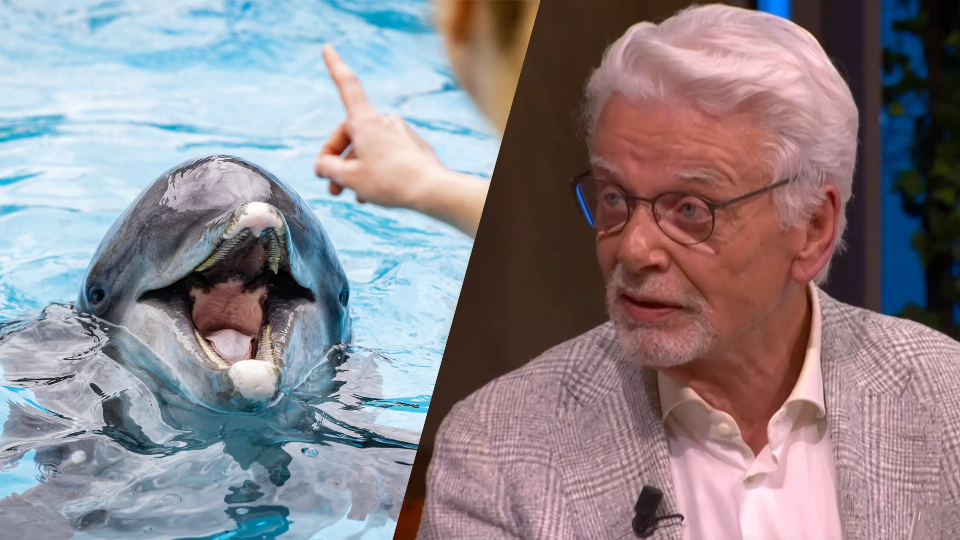 Jan Slagter pleit voor sluiting van Dolfinarium in Harderwijk: 'Ga er niet meer naartoe!'