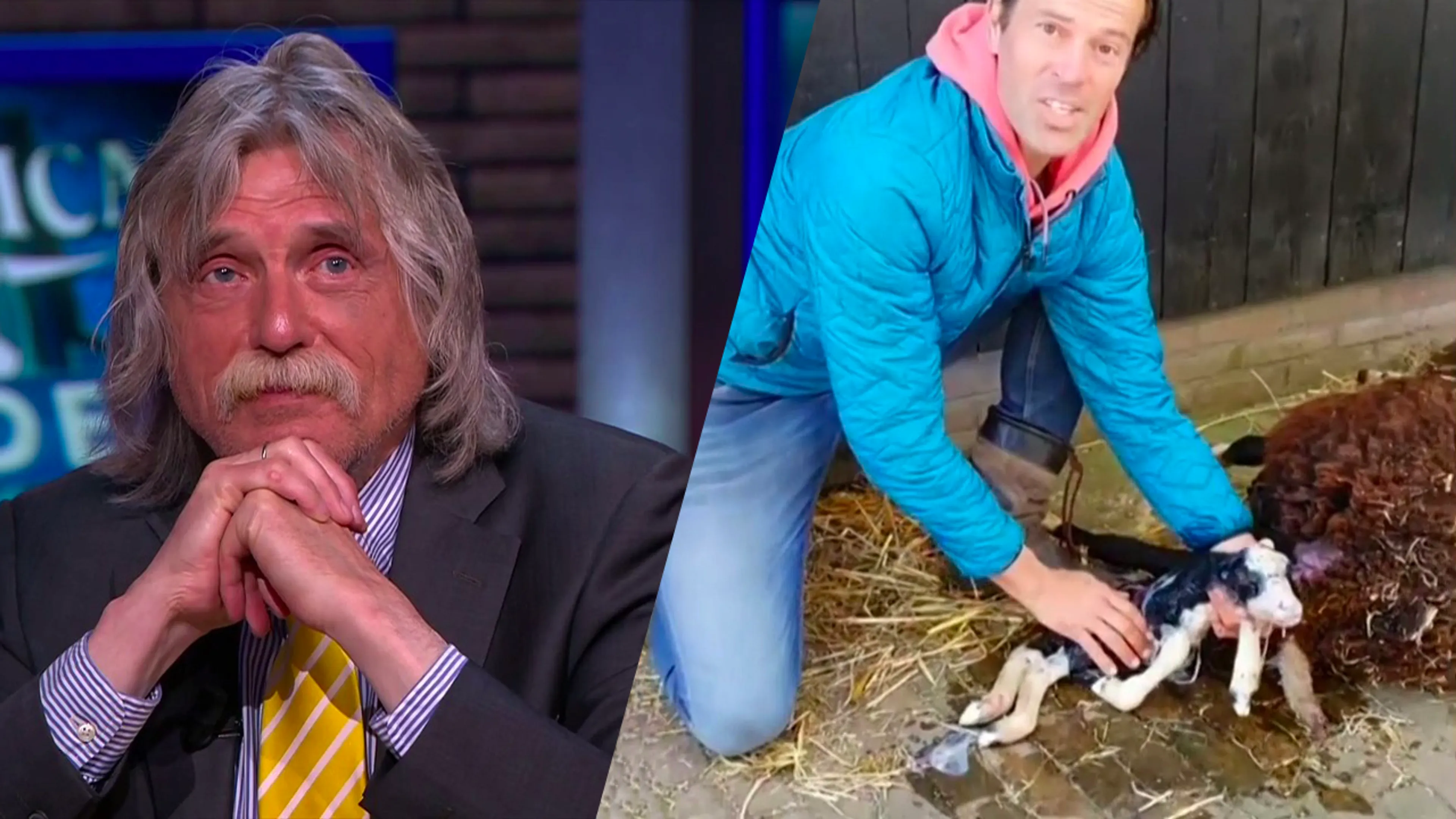 Bas Nijhuis brengt lammetje ter aarde en noemt hem Johan