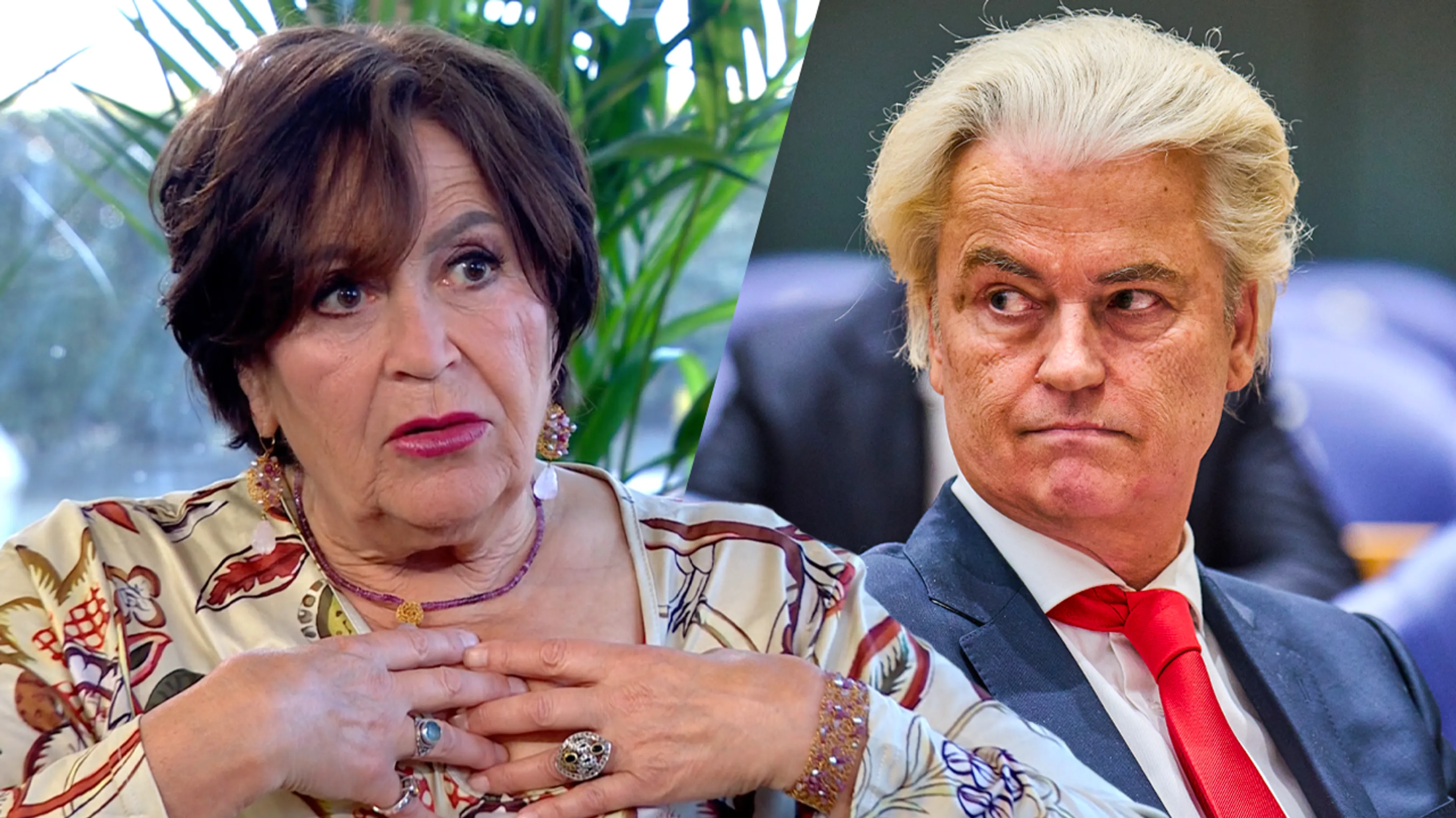 Paragnost Liesbeth van Dijk voorspelt: Wilders verlaat politiek en Omtzigt komt met schandaalboek
